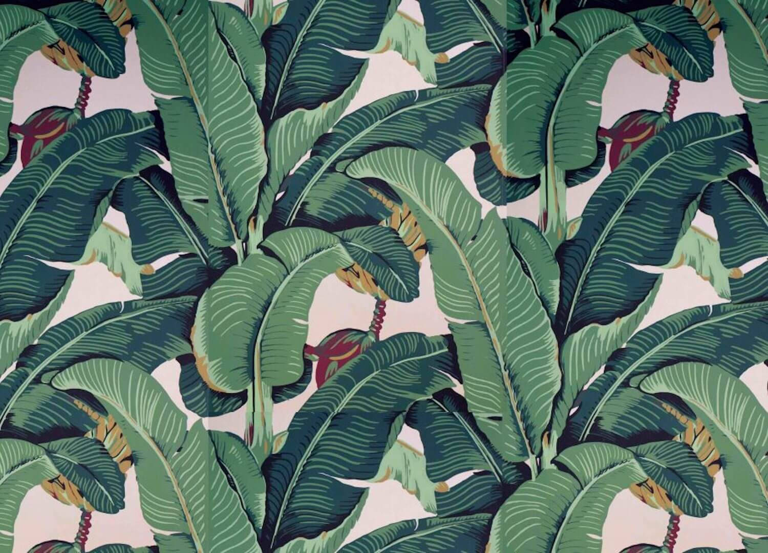 Beverly Hills Hotel, tropical banana leaves, red flowers, HD Desktop Wallpaper