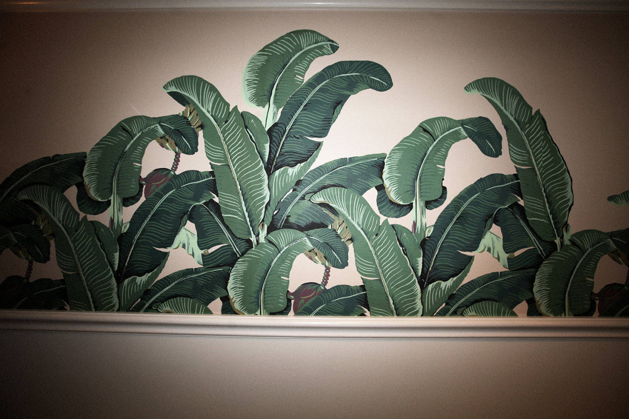 Beverly Hills Hotel, banana leaves, beige wall, HD Desktop Wallpaper