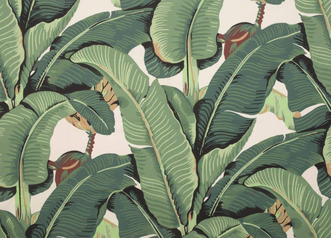 Beverly Hills Hotel, banana leaves, green tones, HD Desktop Wallpaper