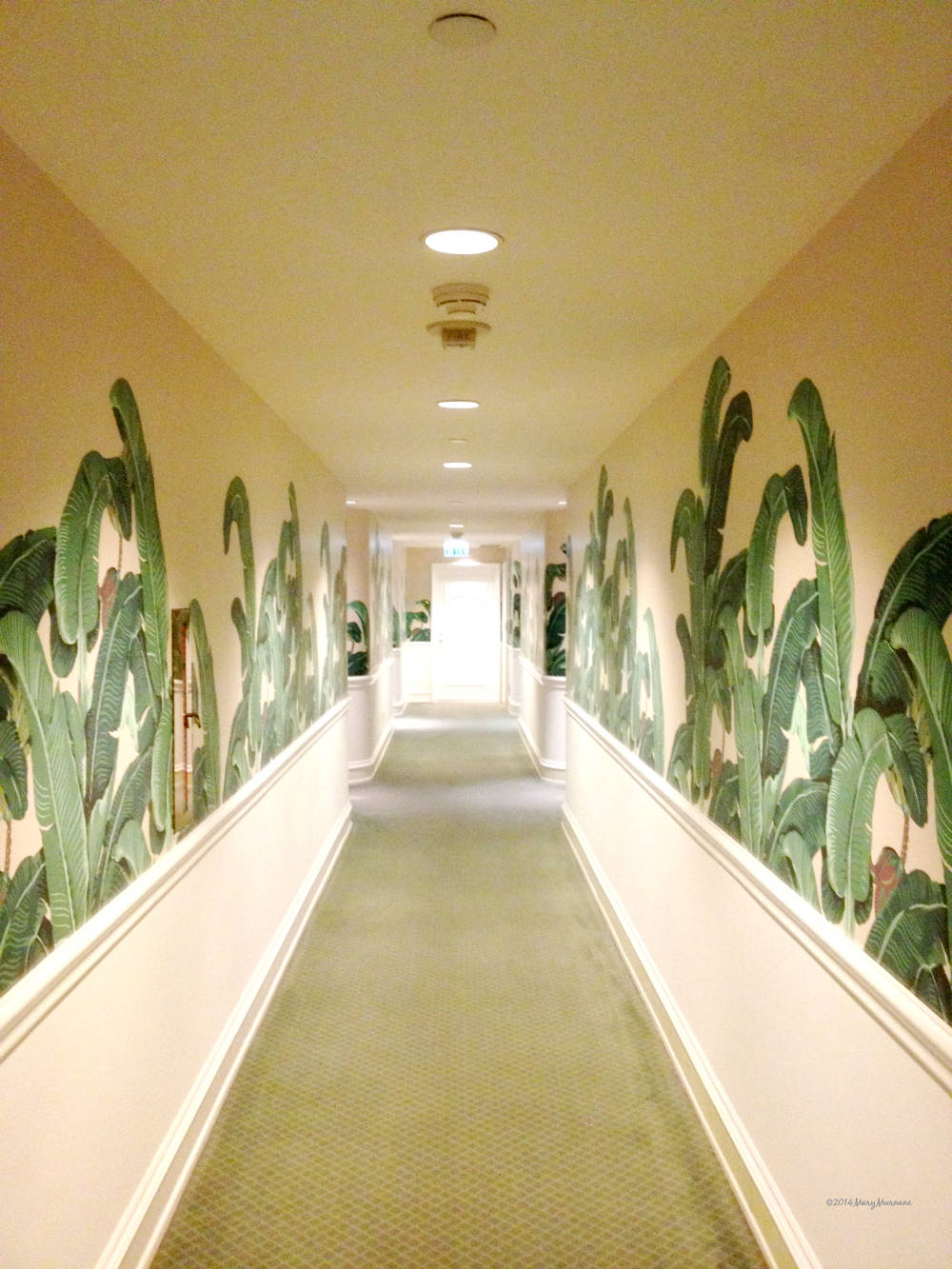 Beverly Hills Hotel, cream walls, green banana leaf wallpaper, HD Phone Wallpaper
