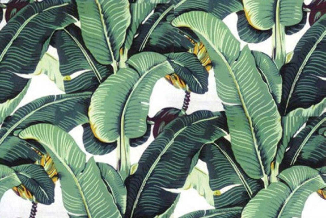 Beverly Hills Hotel, tropical banana leaves, bold green veins, SD Desktop Wallpaper
