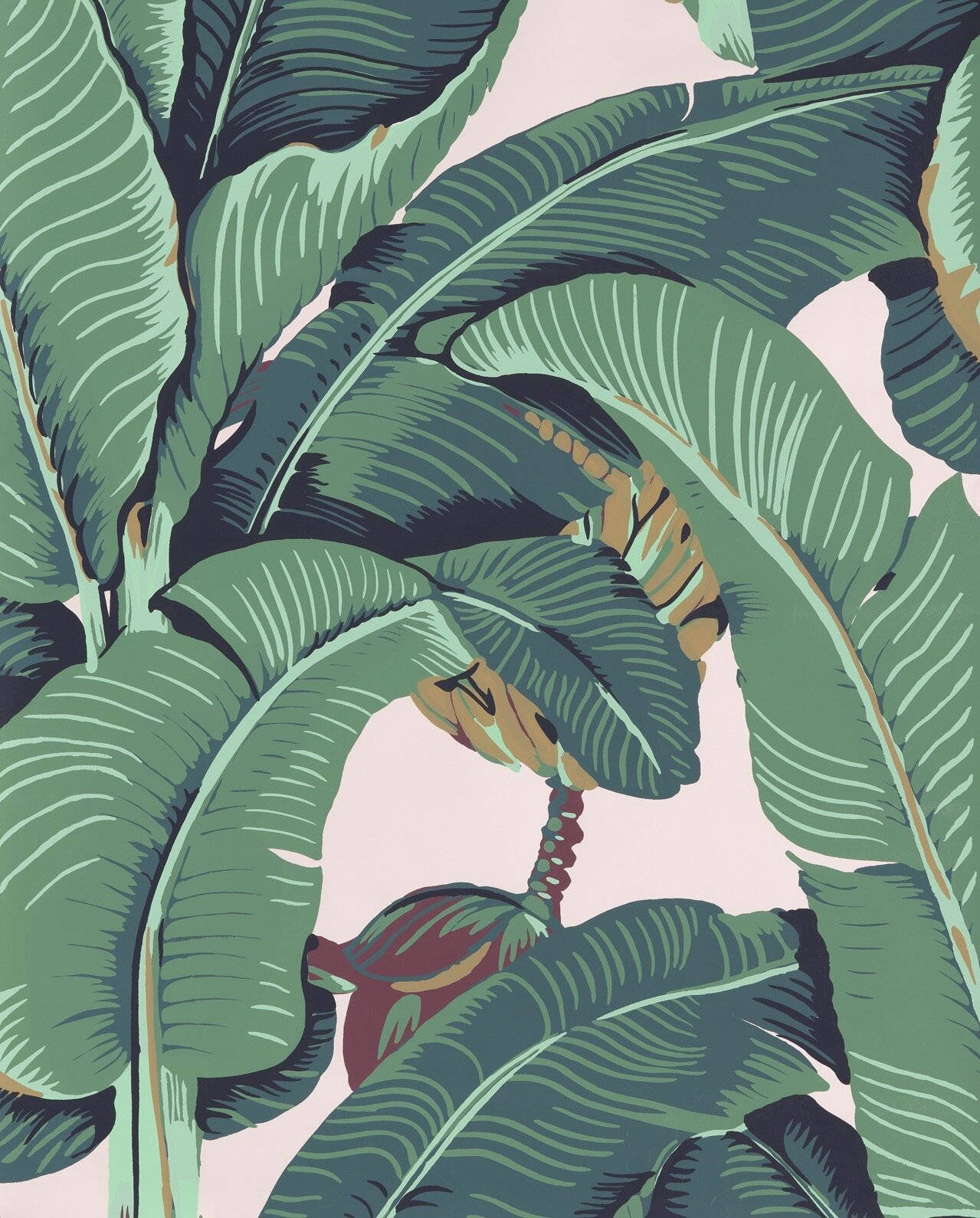 Beverly Hills Hotel, banana leaves, layered greens, HD Phone Wallpaper