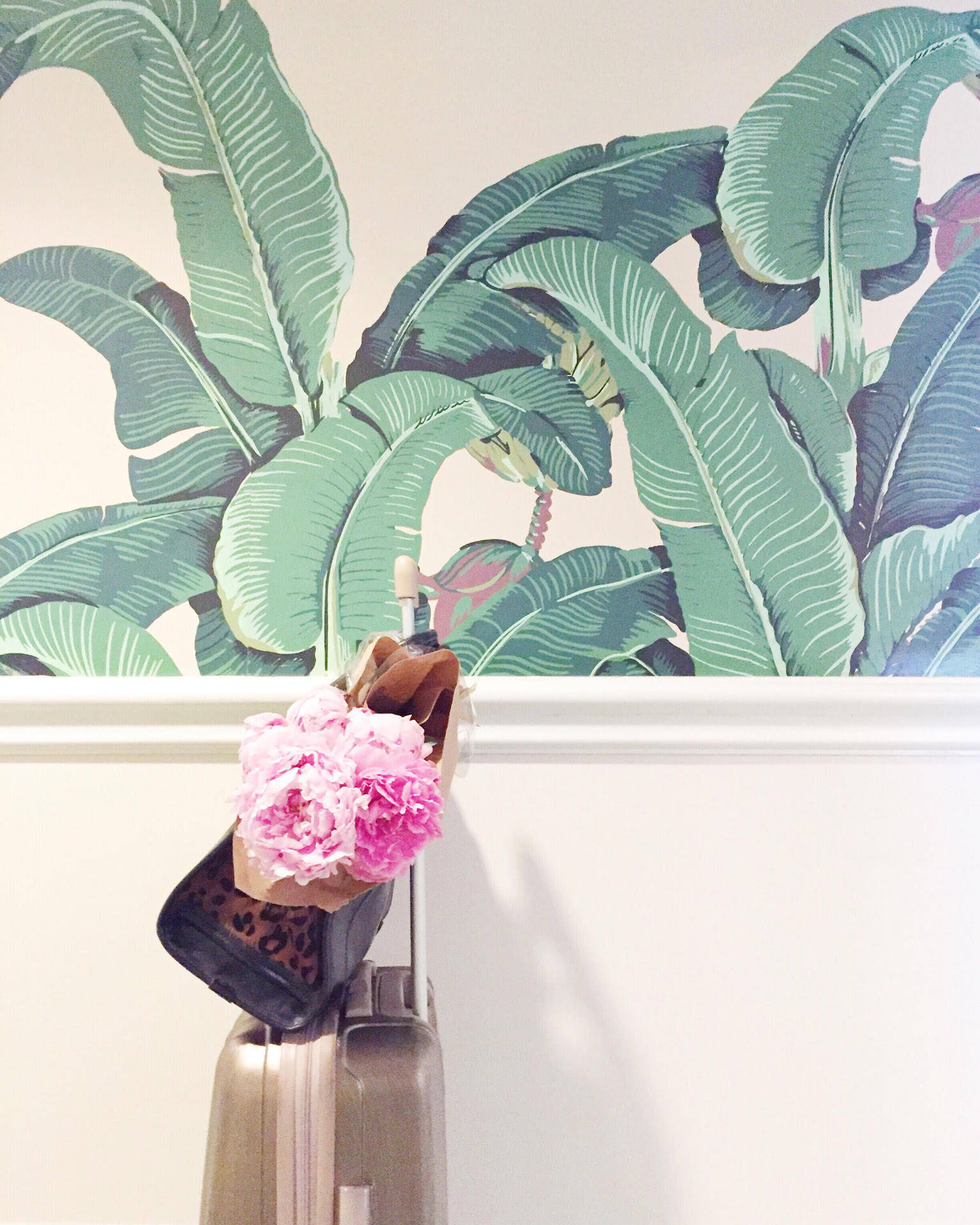 Beverly Hills Hotel, green banana leaf wallpaper, gold suitcase, Full HD Phone Wallpaper