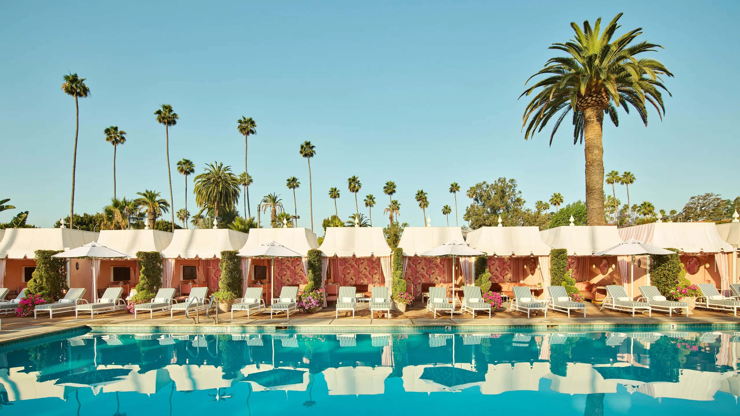 Beverly Hills, luxury poolside resort, white cabanas, 2K Desktop Wallpaper