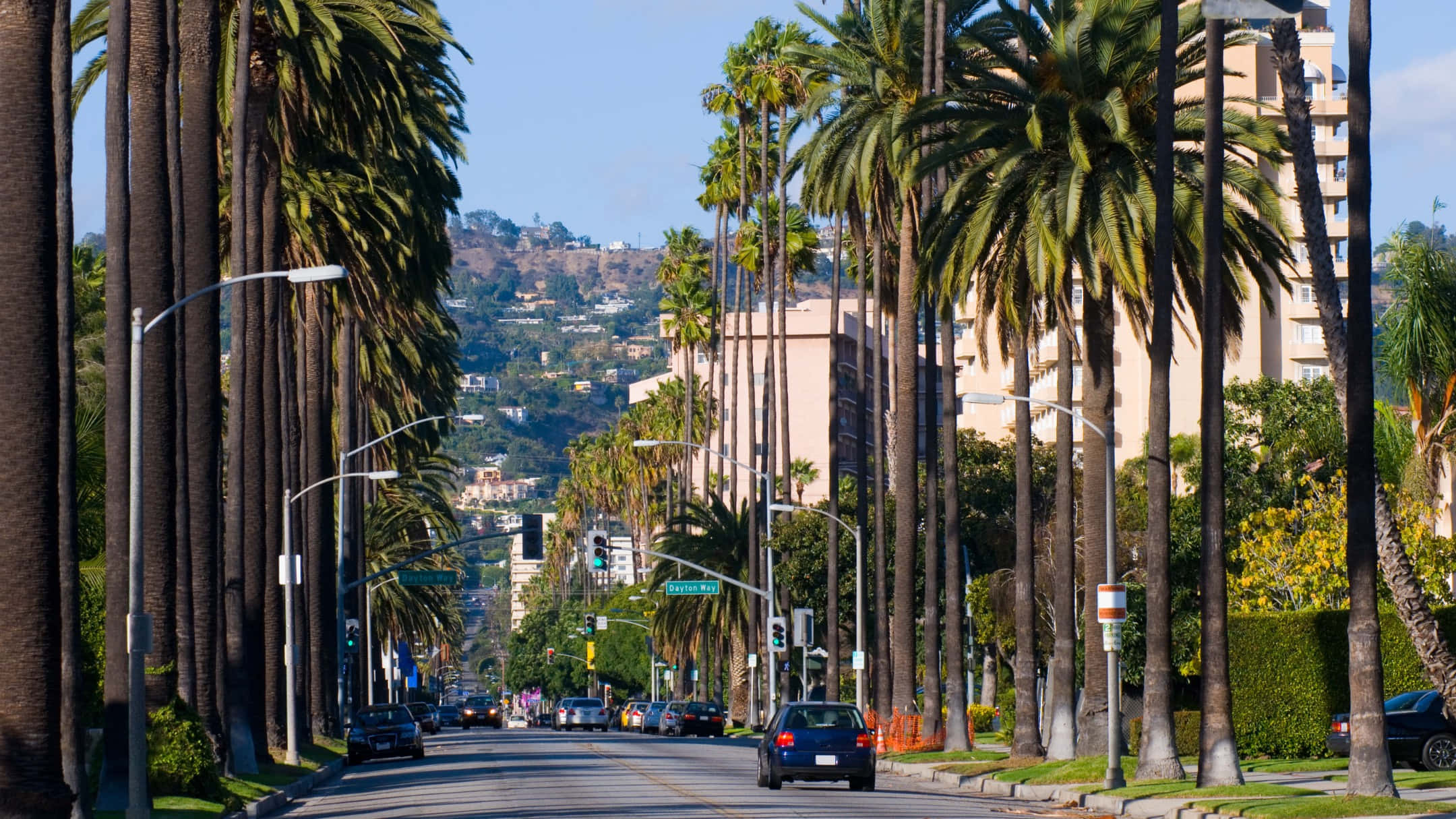 Beverly Hills, palm lined street, sunlit urban street, Full HD Desktop Wallpaper