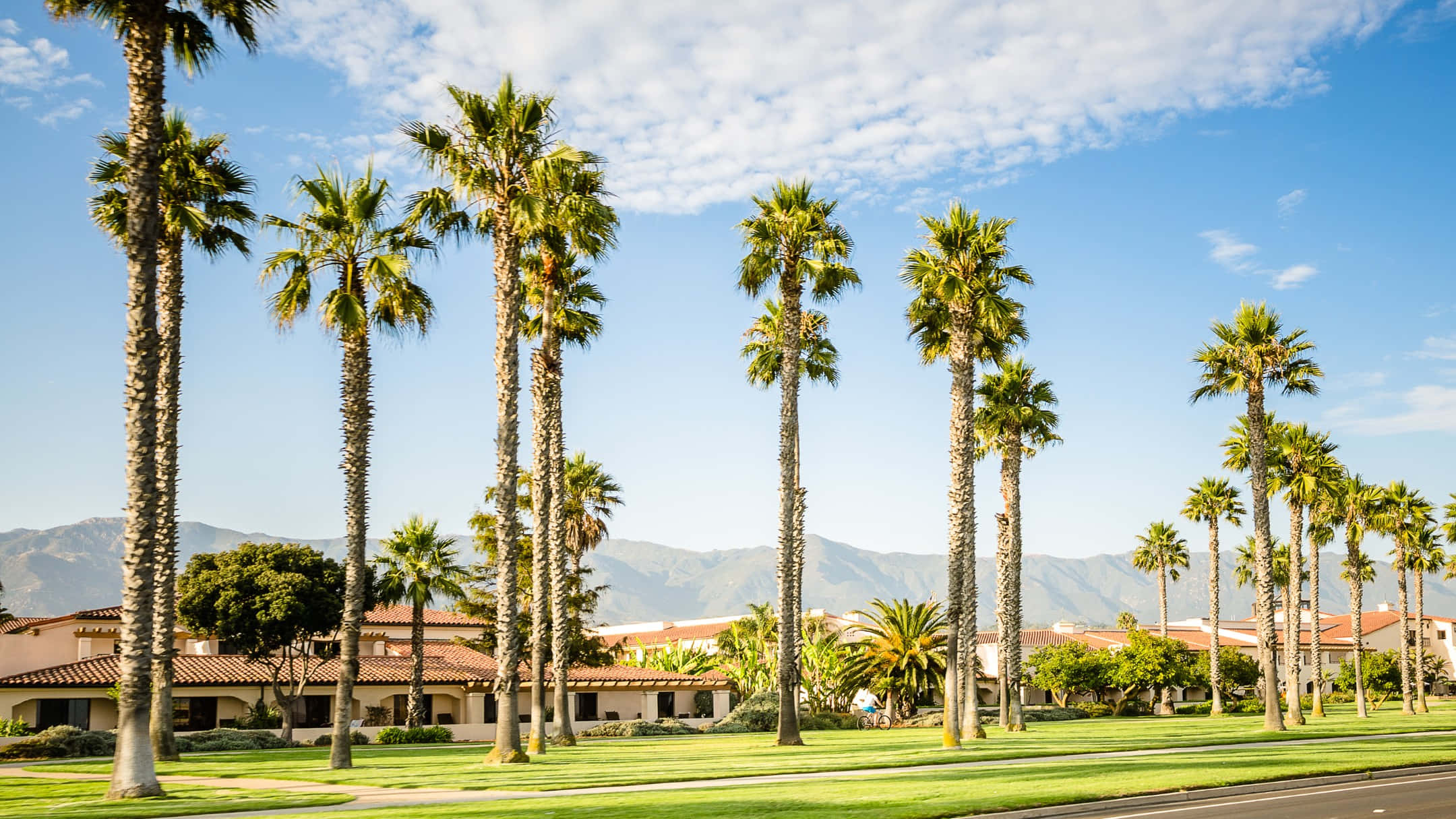 Beverly Hills, palm trees, terracotta-roofed houses, Full HD Desktop Wallpaper