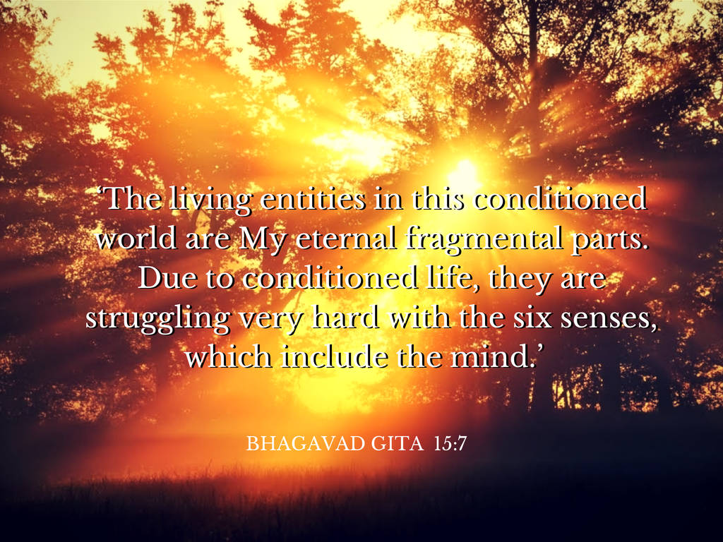 Bhagavad Gita Chapter 15 Verse 7, golden sun rays, silhouetted trees, SD Desktop Wallpaper