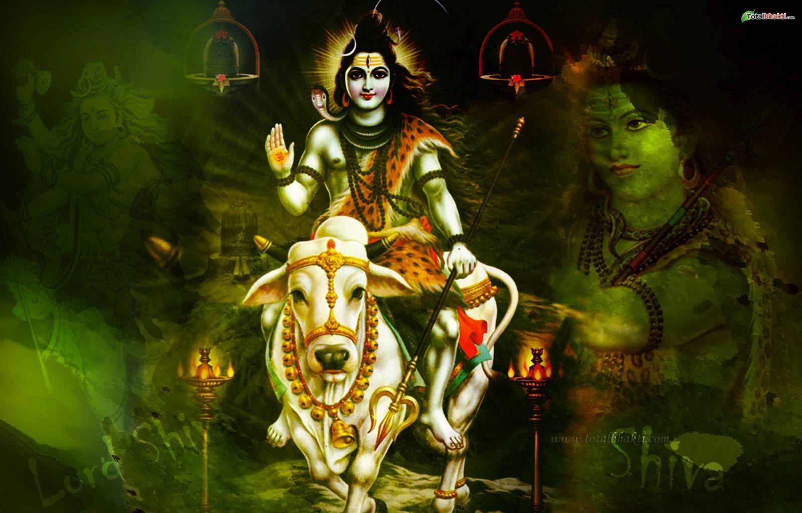 Bhole Baba, green and black, white bull, HD Desktop Wallpaper