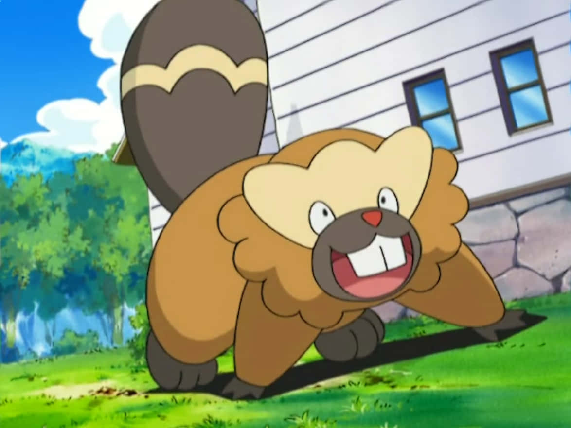 Bibarel, brown beaver, striped tail, SD Desktop Wallpaper