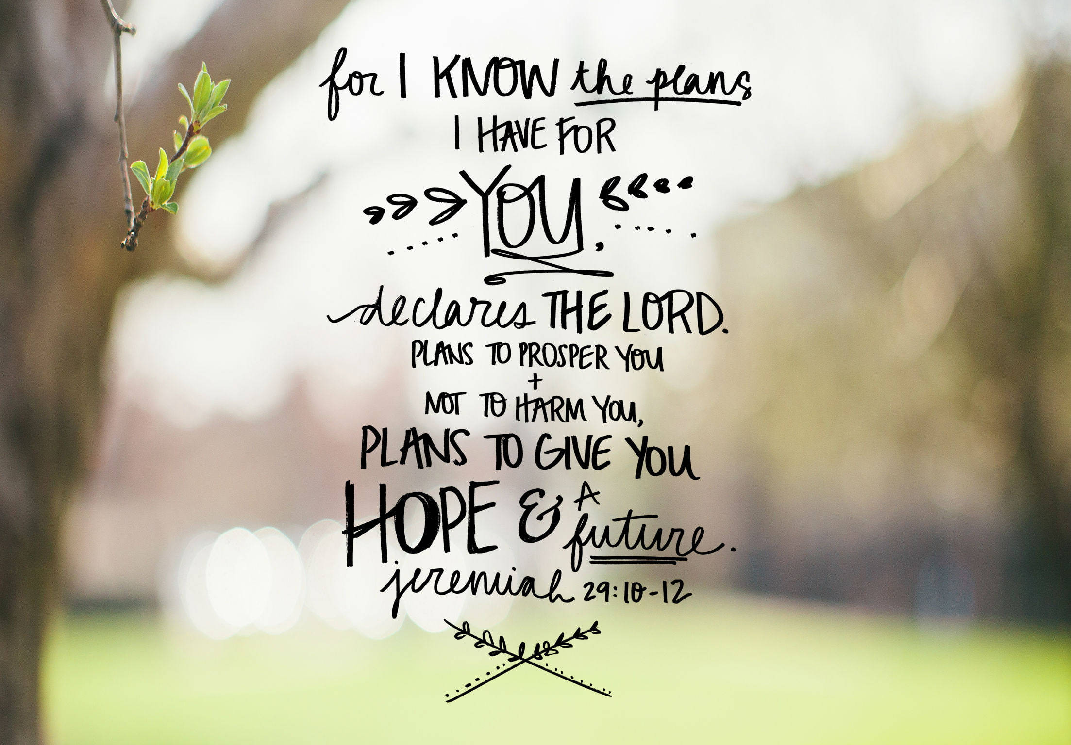 prosperity bible quote, handwritten biblical verse, divine plans for hope and future, Full HD Desktop Wallpaper