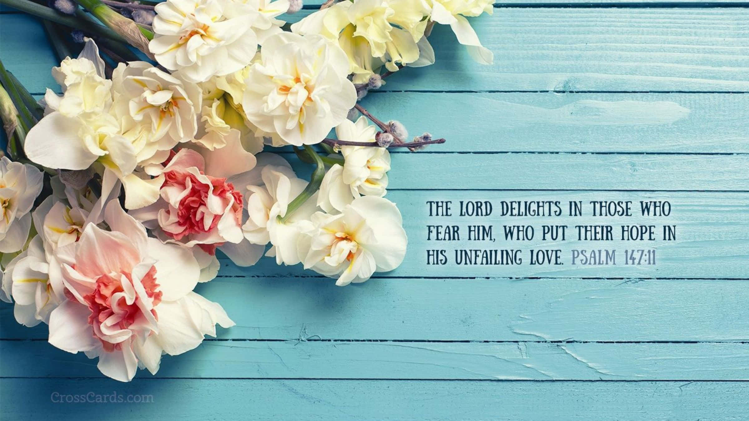 Bible Verse Desktop, white and pink flowers, weathered blue wooden surface, Full HD Desktop Wallpaper