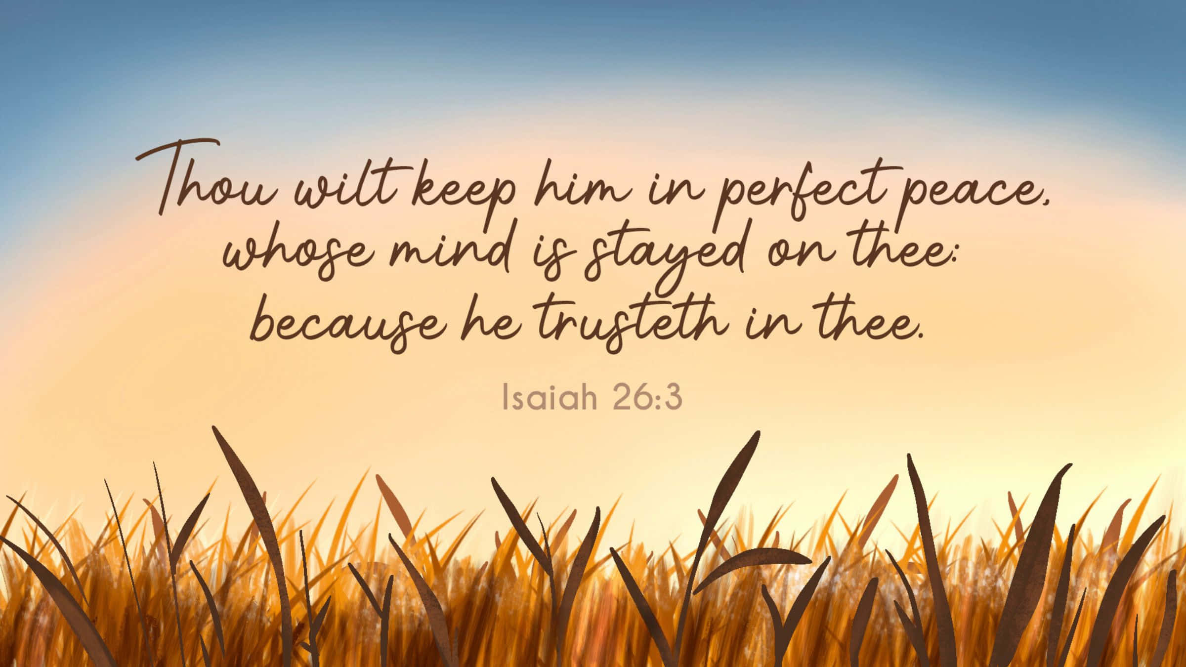 Bible Verse Desktop, 2400 x 1350, golden grass, Full HD Desktop Wallpaper