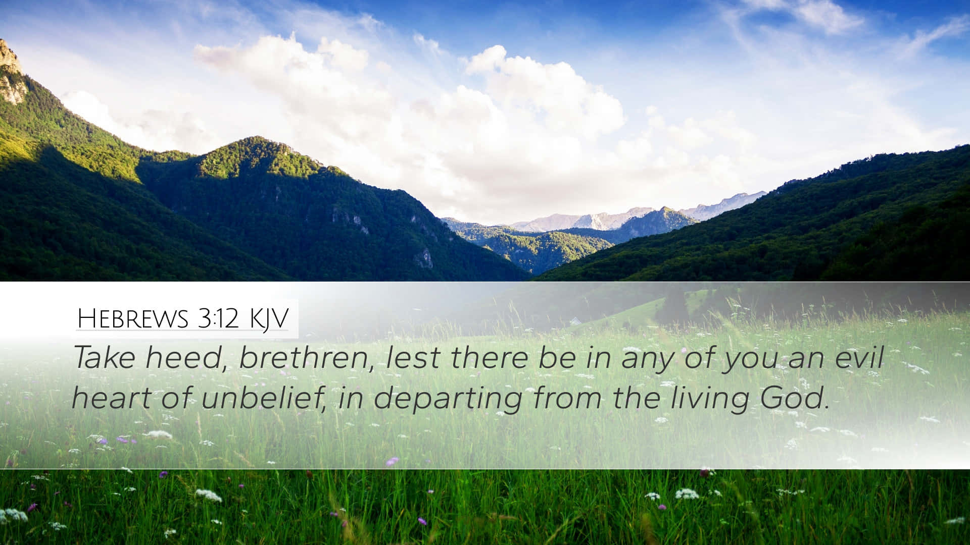 Sunlit mountain valley, lush green slopes, scripture overlay, Full HD Desktop Wallpaper