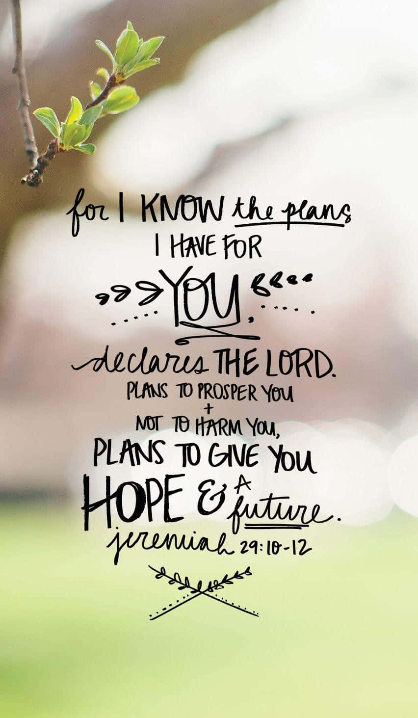 Bible Verse Phone, budding green leaves, branch, HD Phone Wallpaper