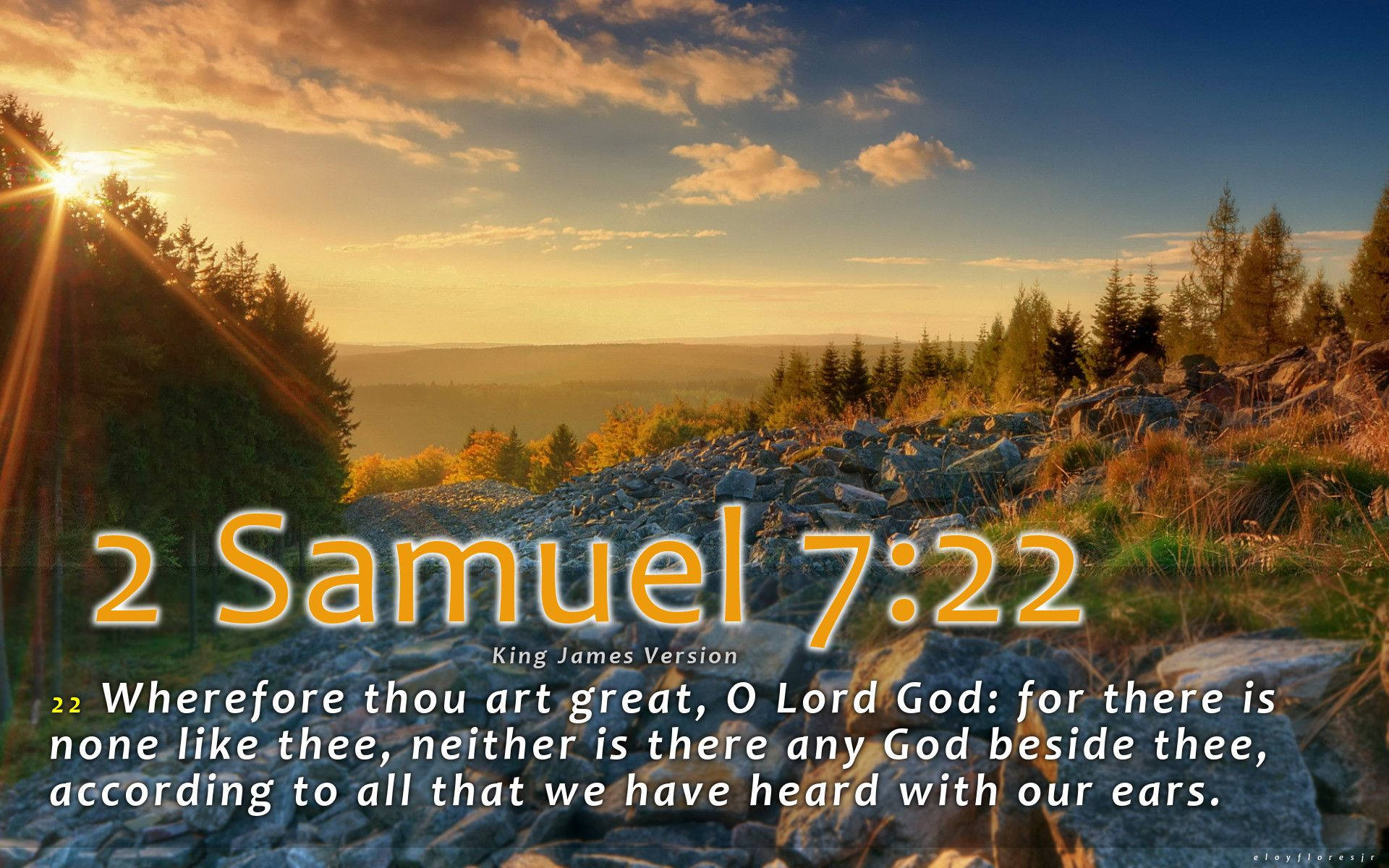 2 Samuel 7:22, golden sunrise, pine trees, Full HD Desktop Wallpaper