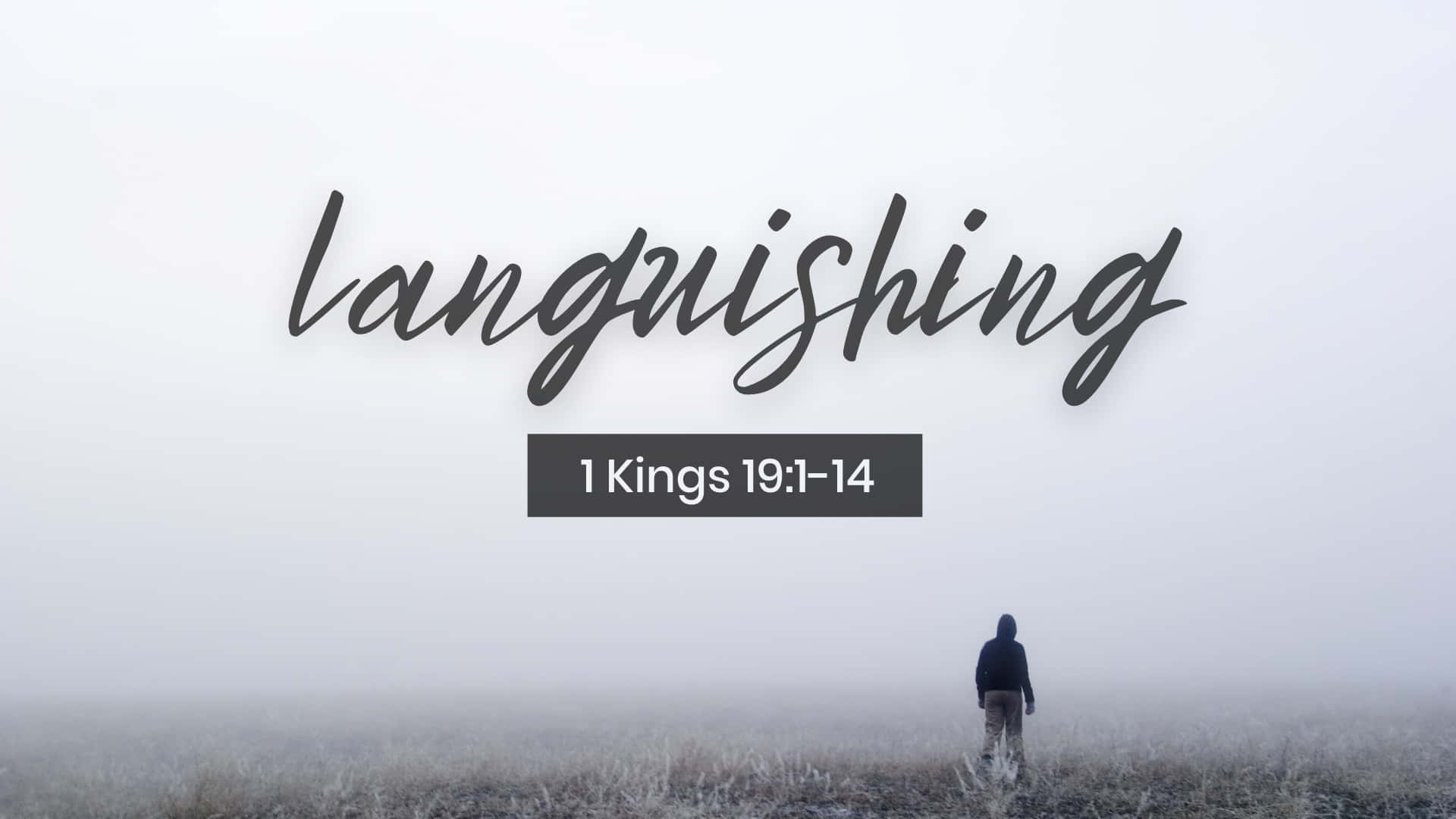 languishing, 1 Kings 19:1-14, foggy field, Full HD Desktop Wallpaper