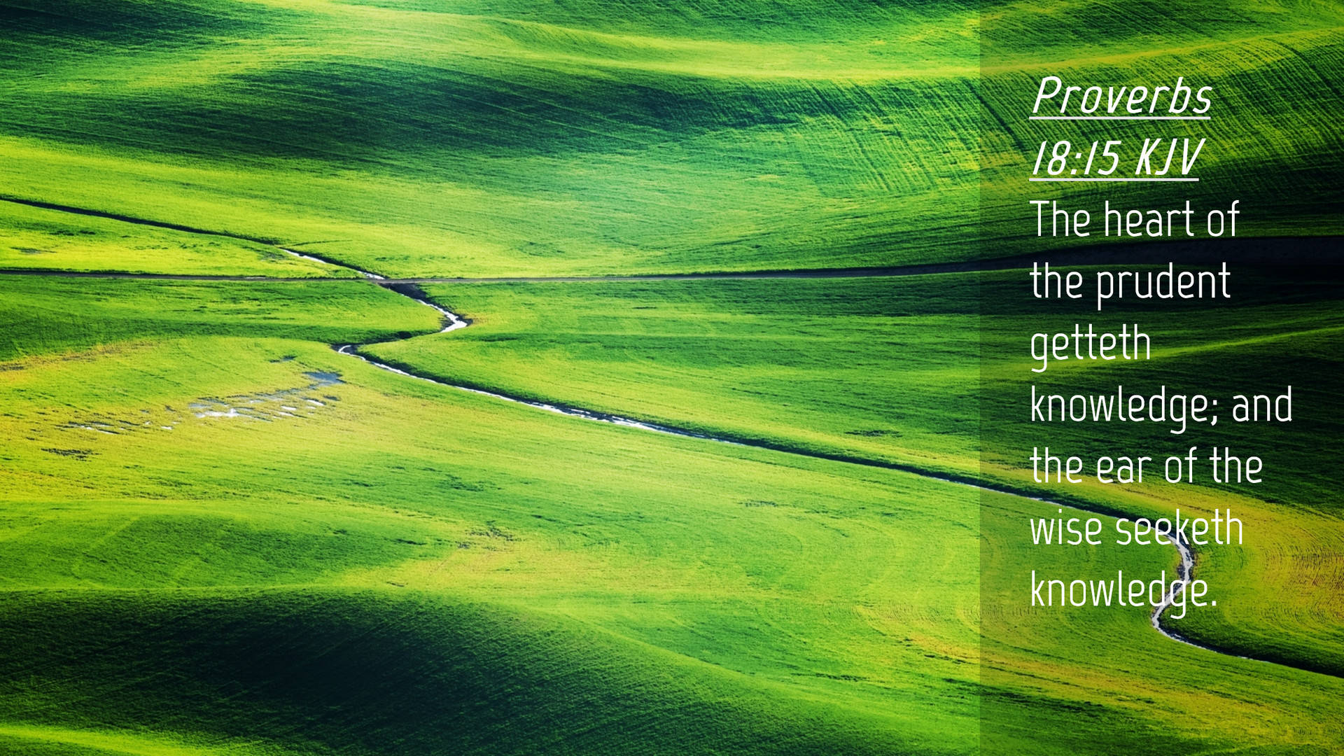 Prudent Heart, winding river, vibrant rolling green hills, Full HD Desktop Wallpaper