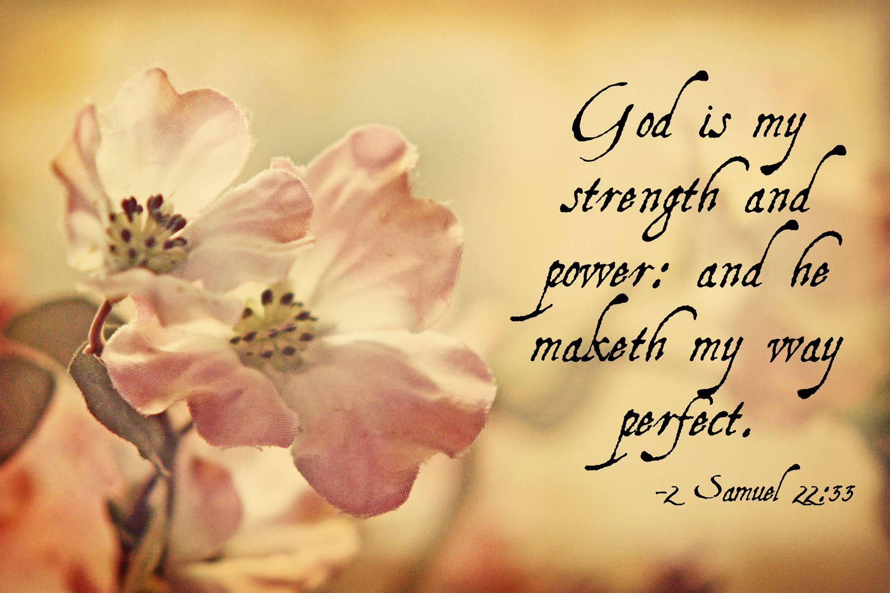 2 Samuel 22:33, bible verse laptop, soft pink blossoms, HD Desktop Wallpaper