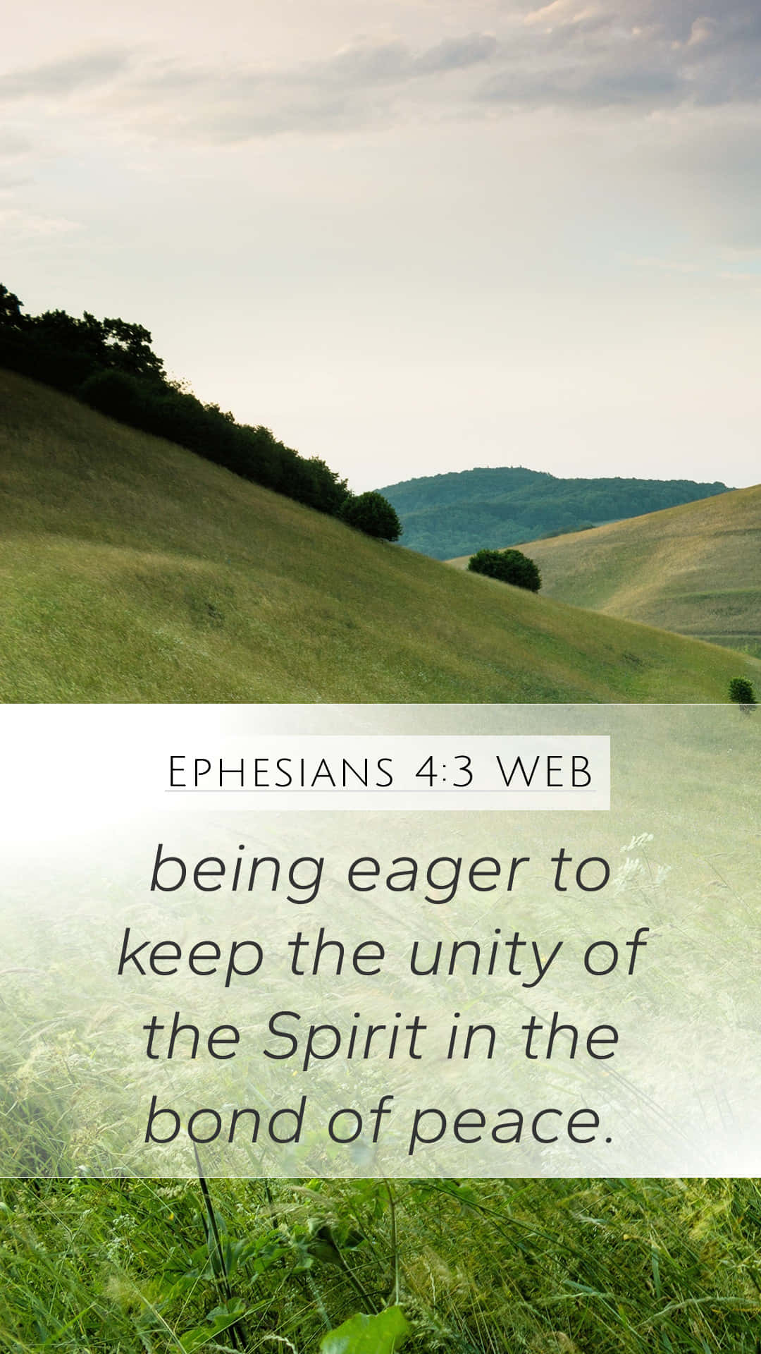 Bible Verse, rolling green hills, soft cloudy skies, Full HD Phone Wallpaper