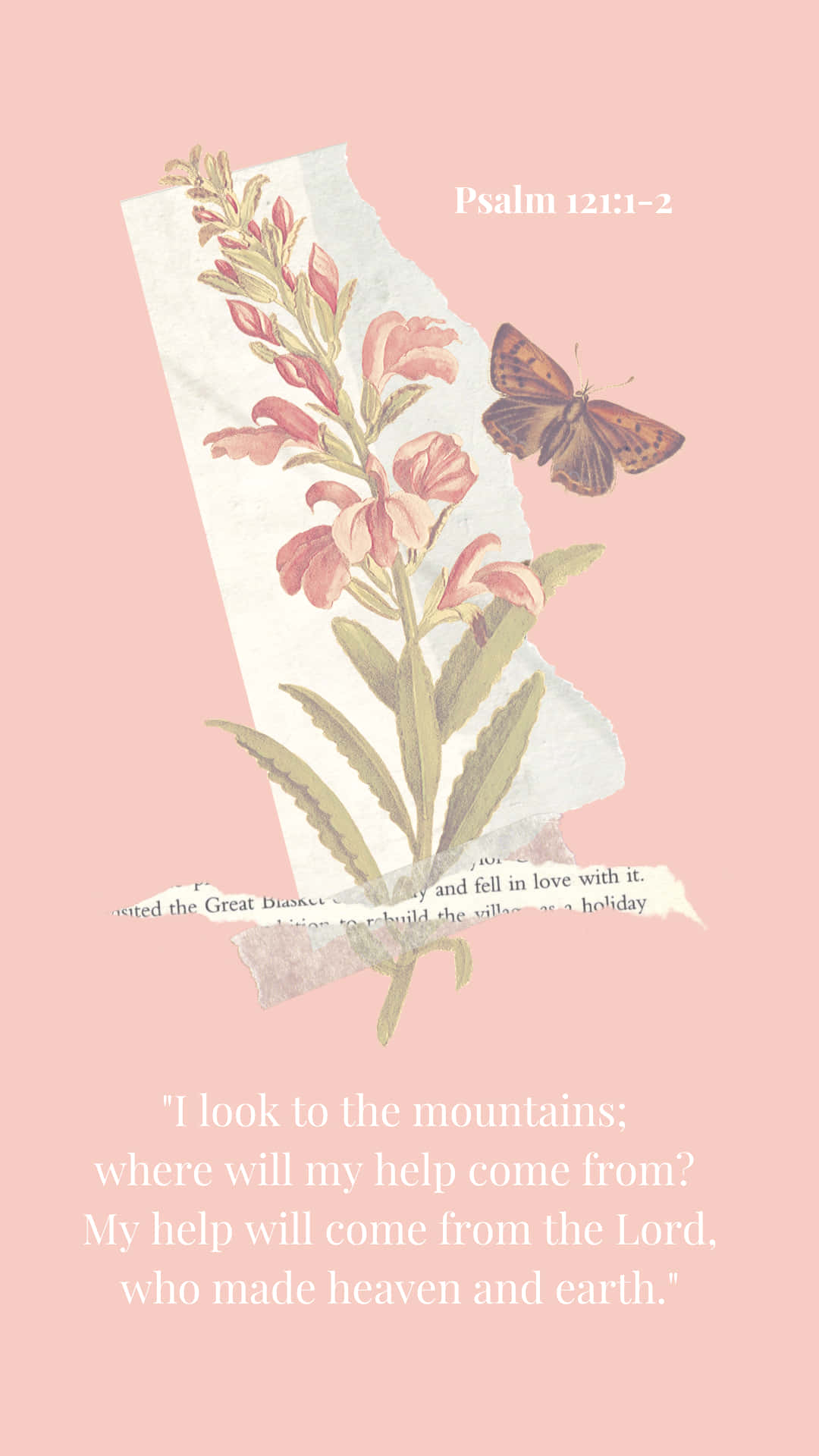 Bible Verse Phone, pink flower, butterfly, Full HD Phone Wallpaper