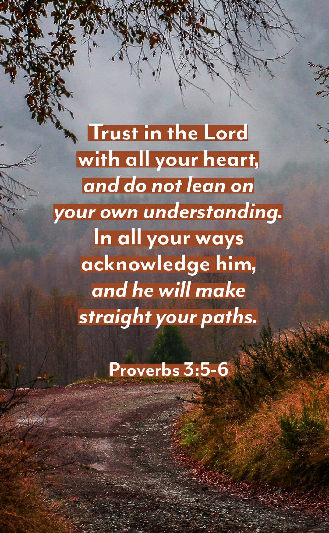 Bible Verse Phone, winding forest path, overcast skies, HD Phone Wallpaper