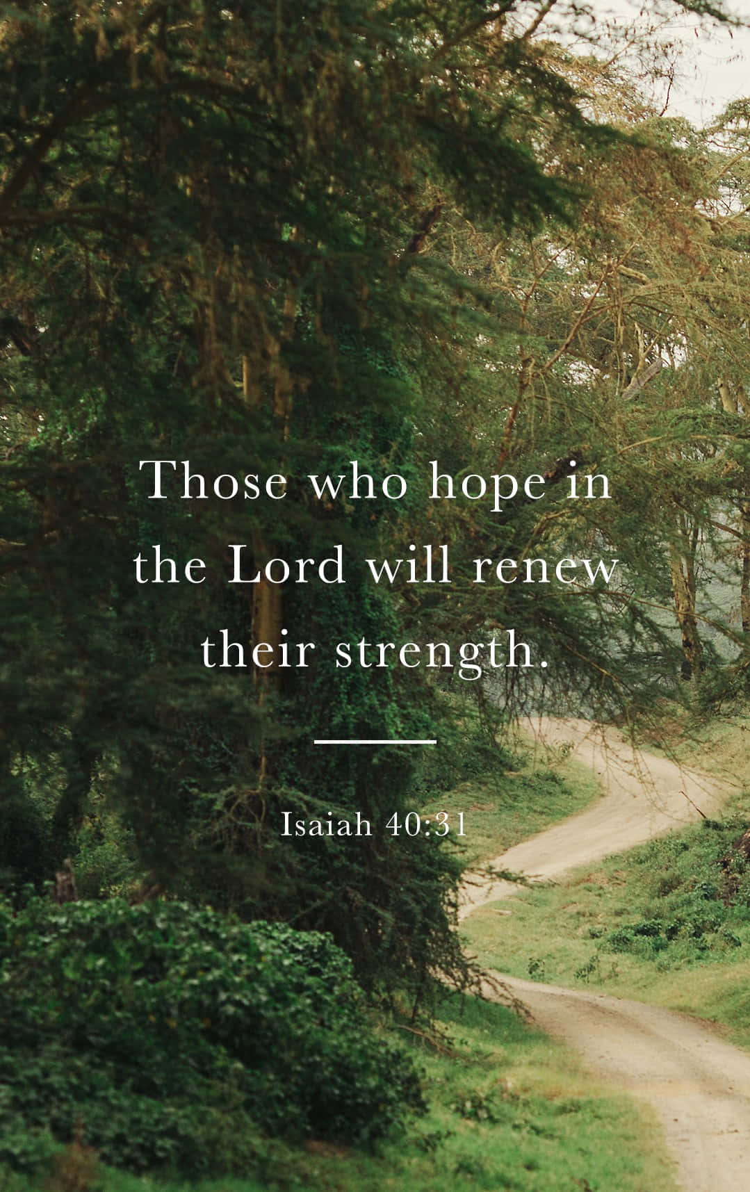 Bible Verse Phone, winding dirt path, lush green forest, HD Phone Wallpaper