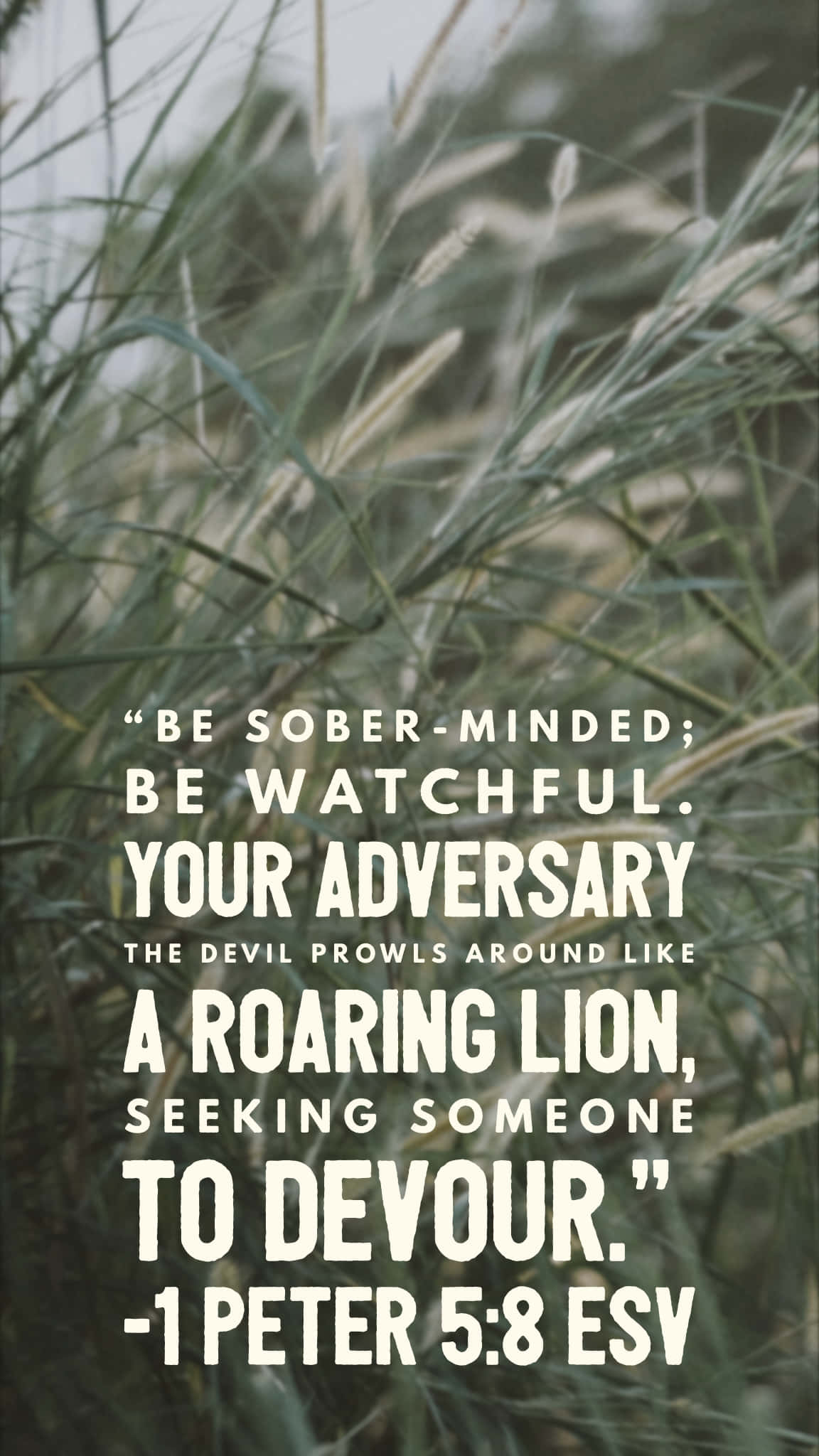 grass, white biblical quote, spiritual vigilance, Full HD Phone Wallpaper