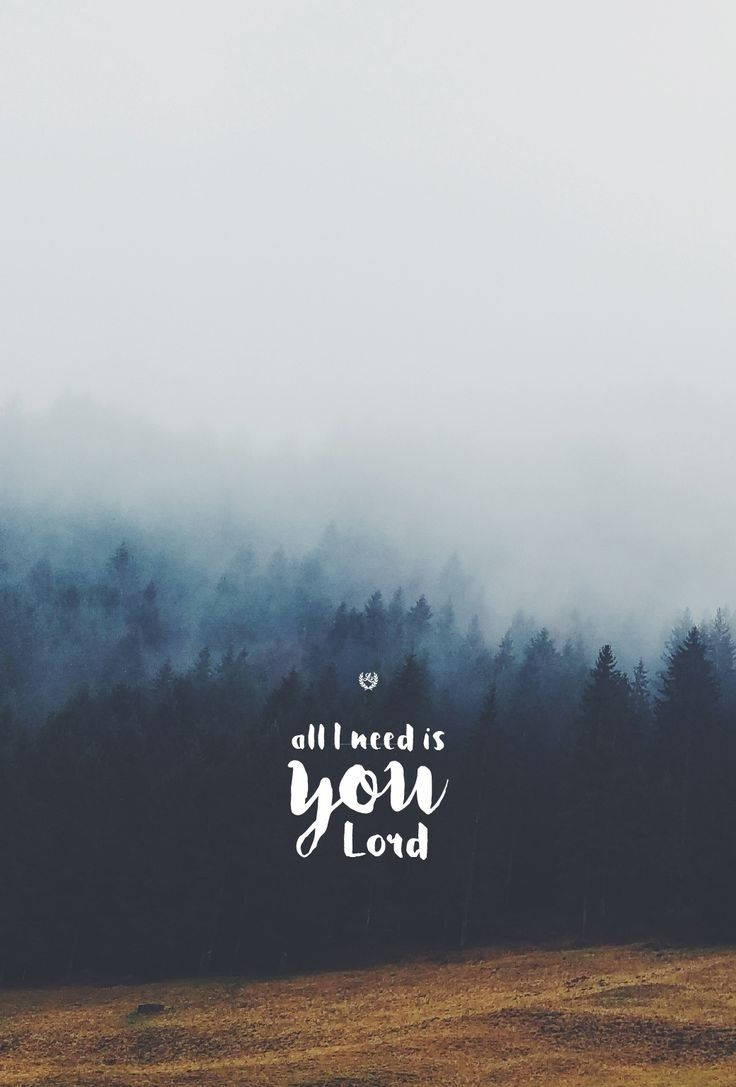 bible verse, misty forest, dark trees, SD Phone Wallpaper