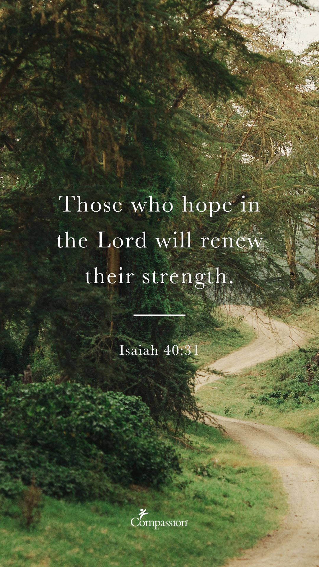 winding dirt path, lush green forest, biblical quote, Full HD Phone Wallpaper