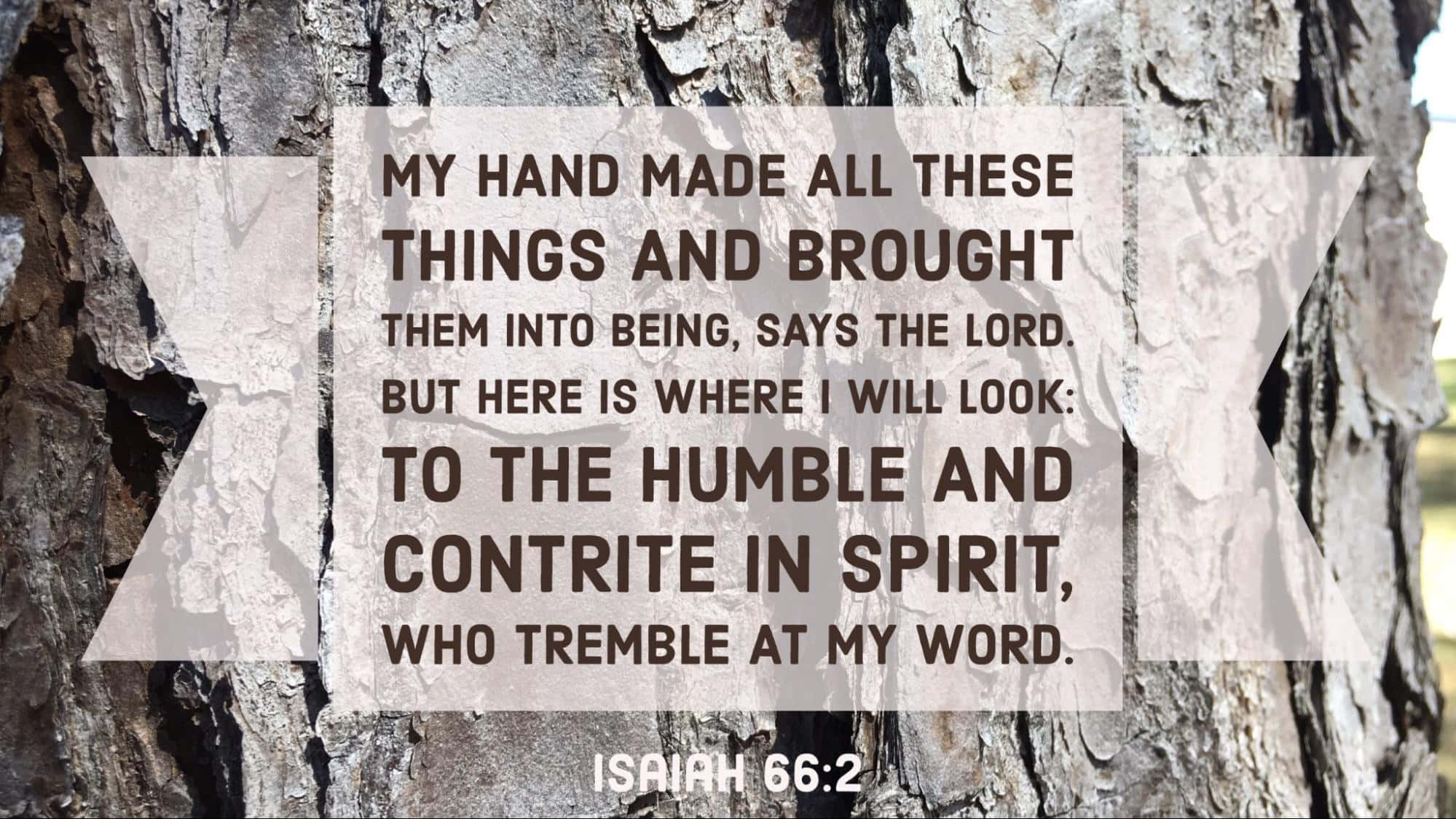 Isaiah 66:2, textured tree bark background, translucent banner design, Full HD Desktop Wallpaper