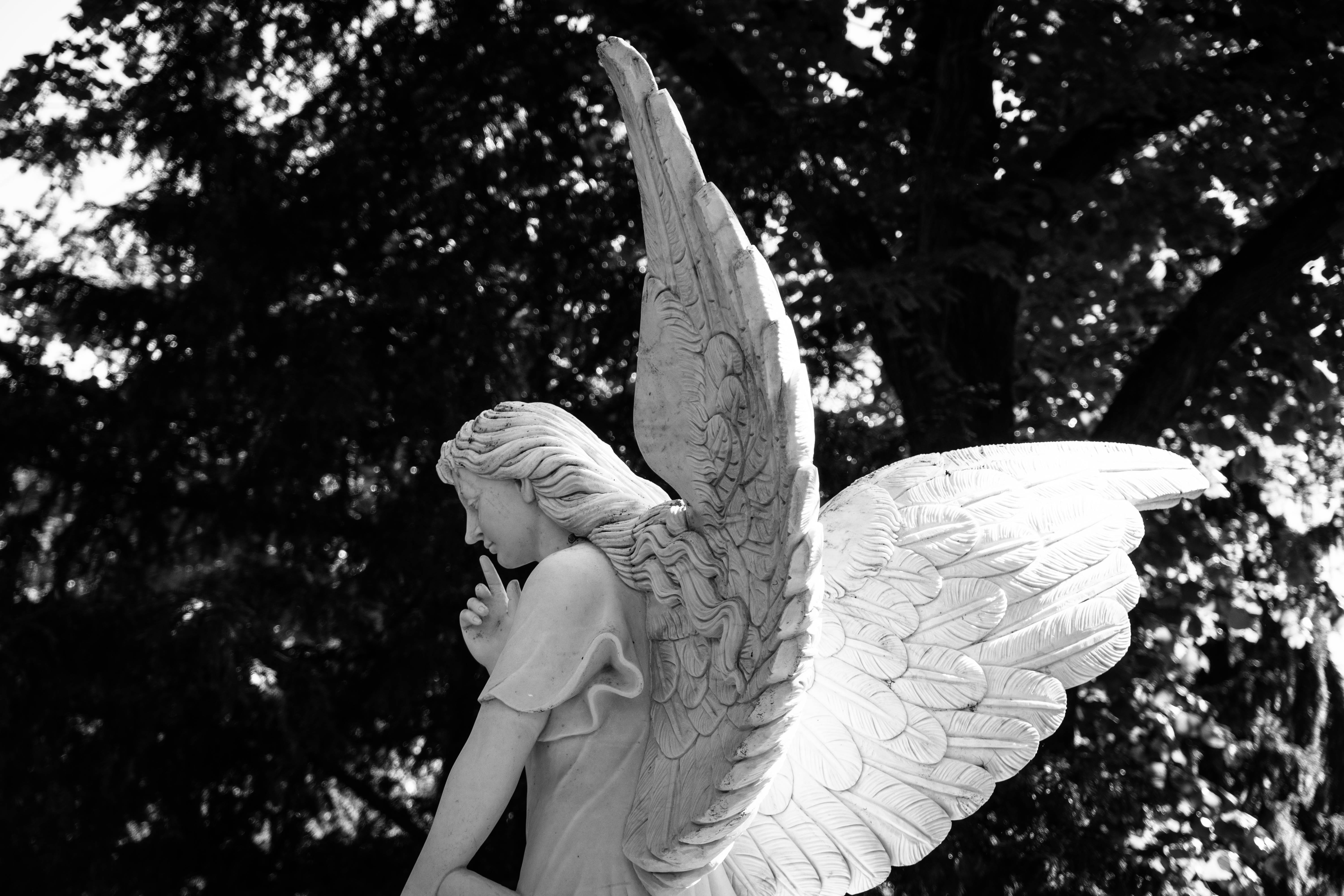 black and white, statue of an angel, detailed wings, 5K Desktop Wallpaper
