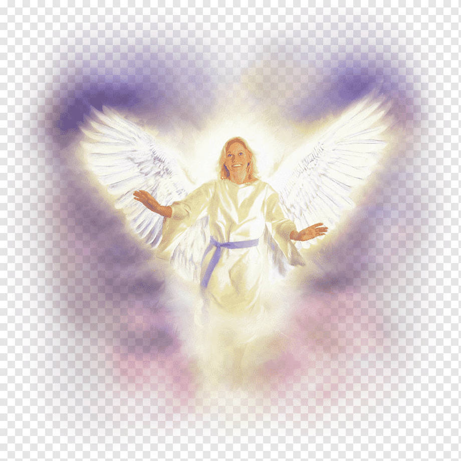 heavenly angels, 920 x 920, white wings, SD Desktop Wallpaper