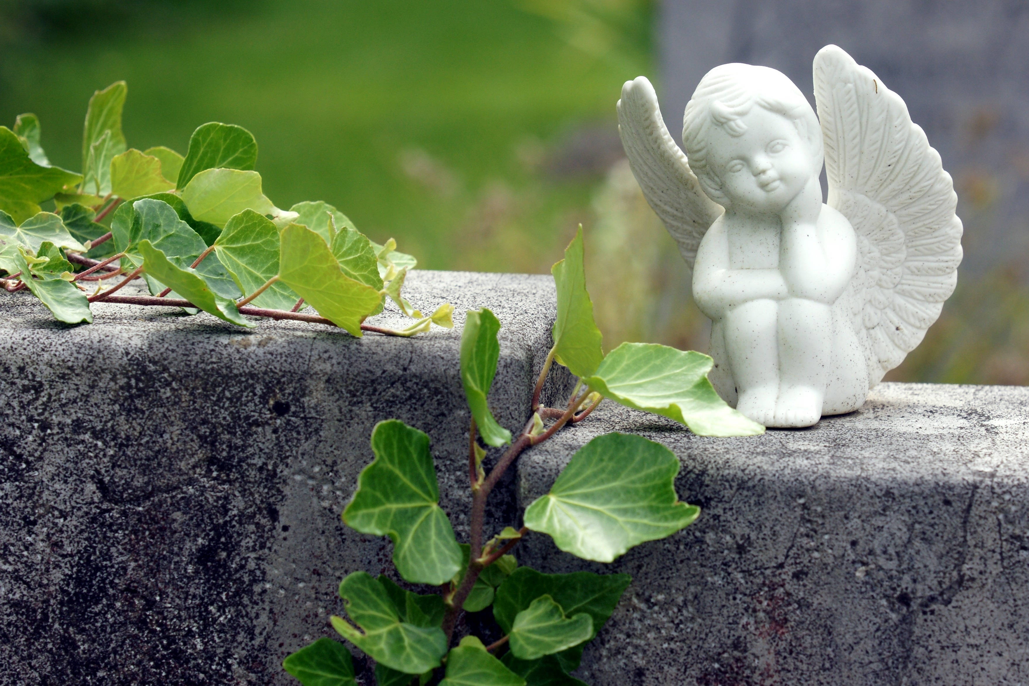 small angel statue, white angel figurine, weathered stone tombstone, 2K Desktop Wallpaper