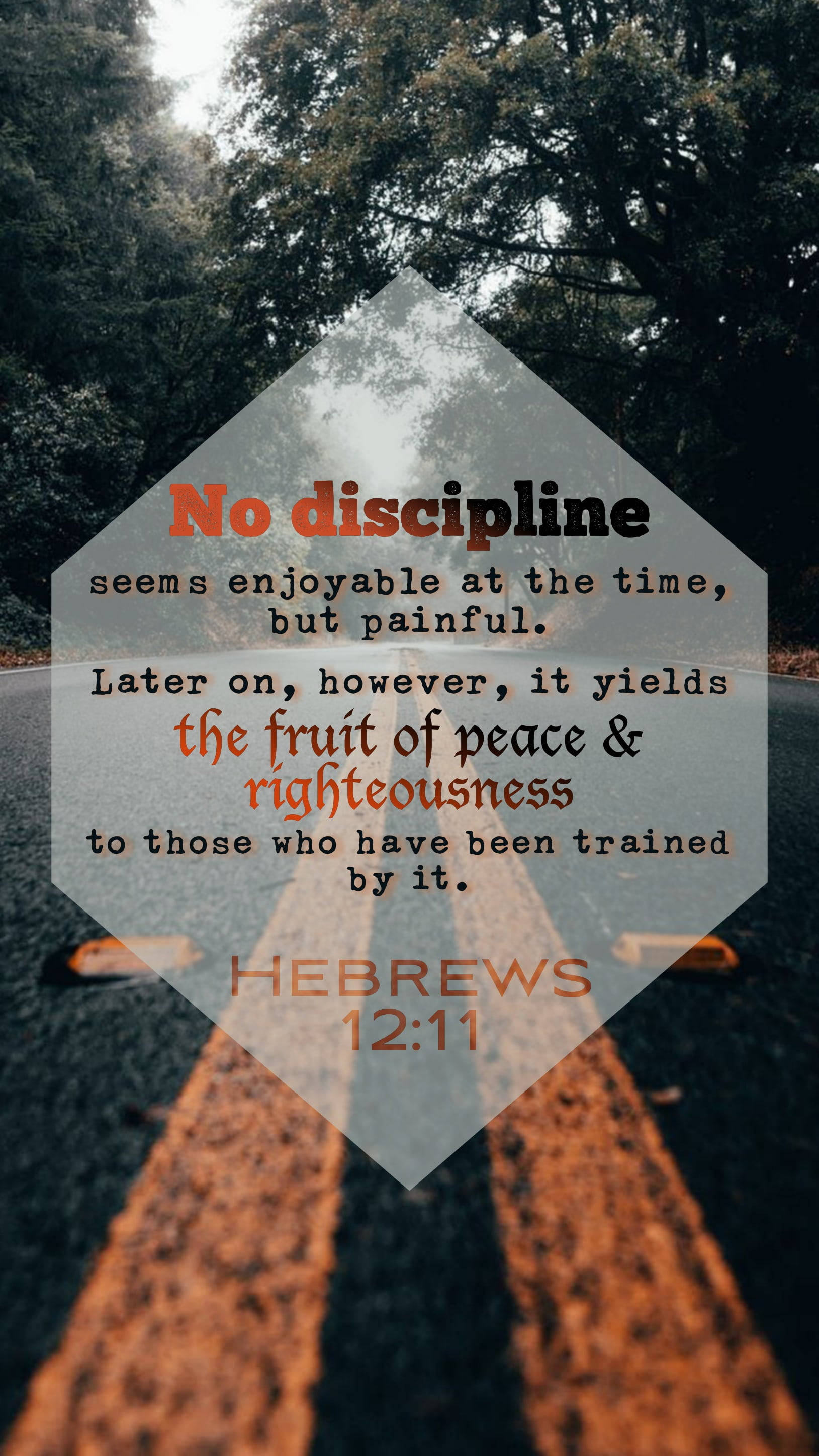 Hebrews 12:11, diamond-shaped overlay, forest road, 2K Phone Wallpaper