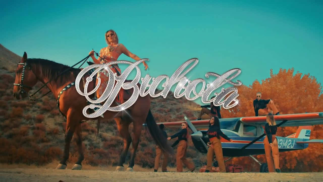 Bichota, desert, horse, HD Desktop Wallpaper