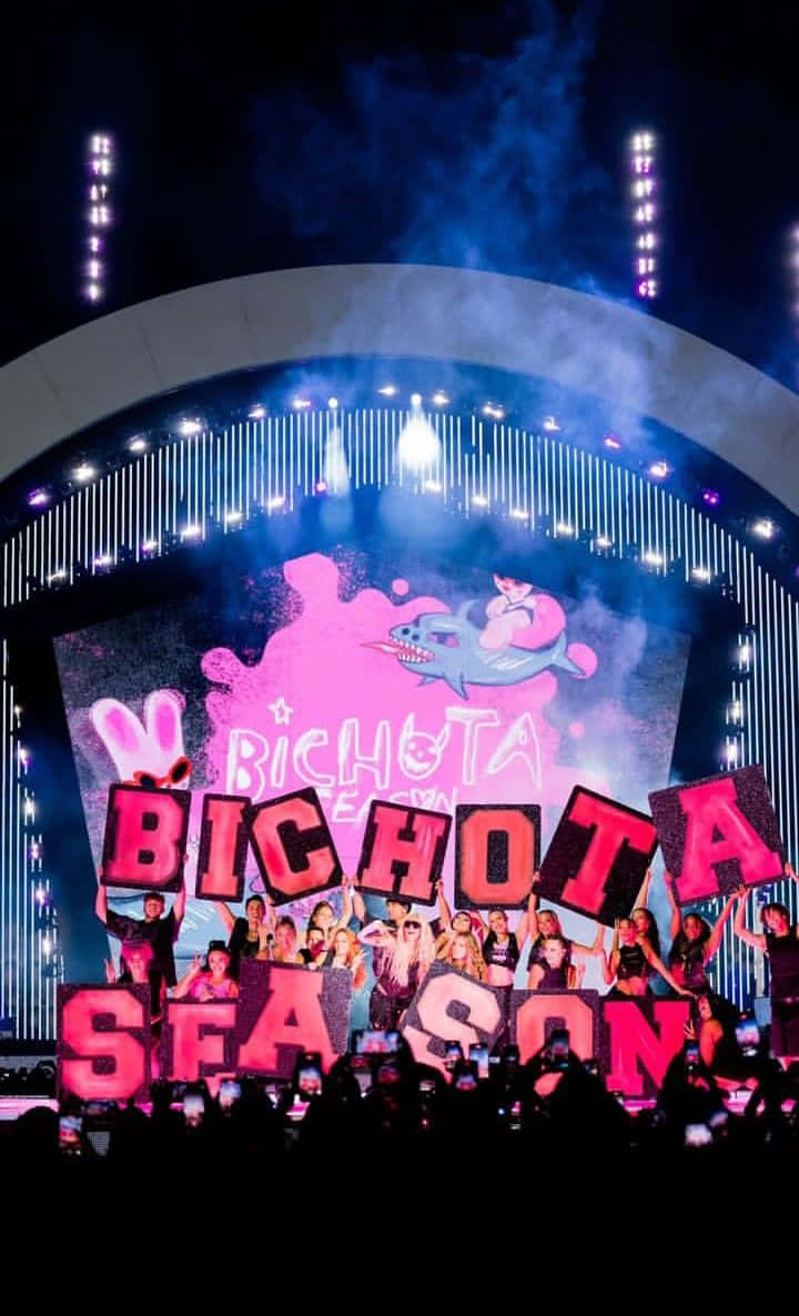 Bichota Season, pink and blue lights, fans holding giant letters, SD Phone Wallpaper