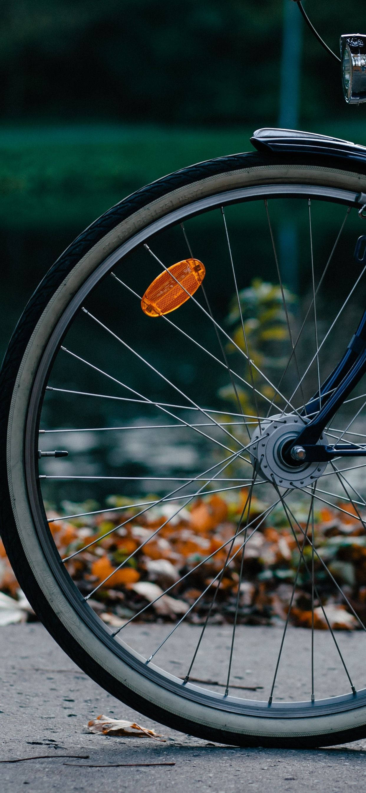 bicycle wheel, orange reflector, pavement, 2K Phone Wallpaper