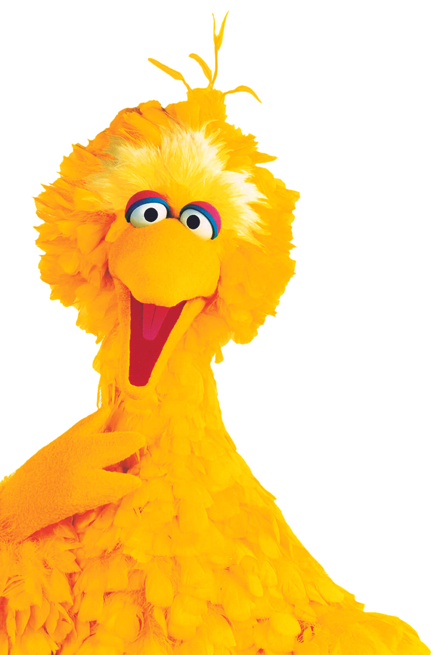 Big Bird, yellow, fluffy feathers, Full HD Phone Wallpaper