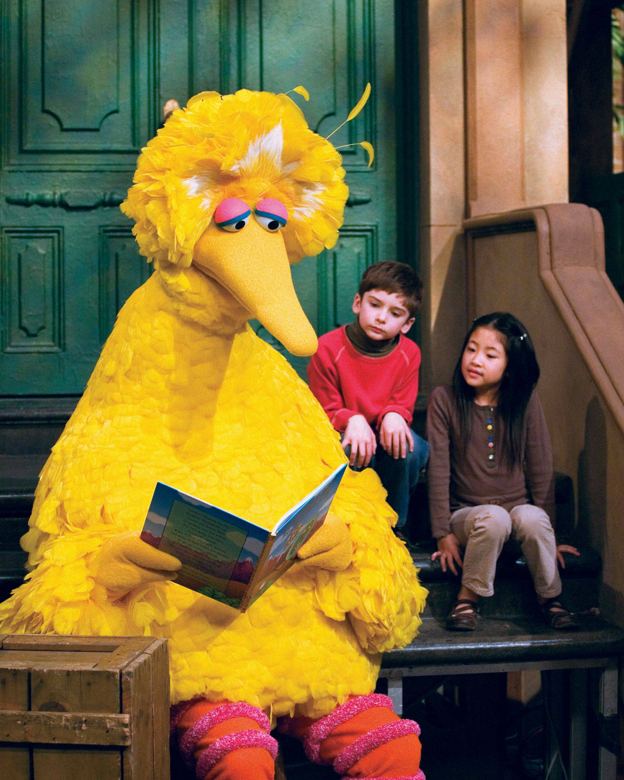 Big Bird, book, children, HD Phone Wallpaper