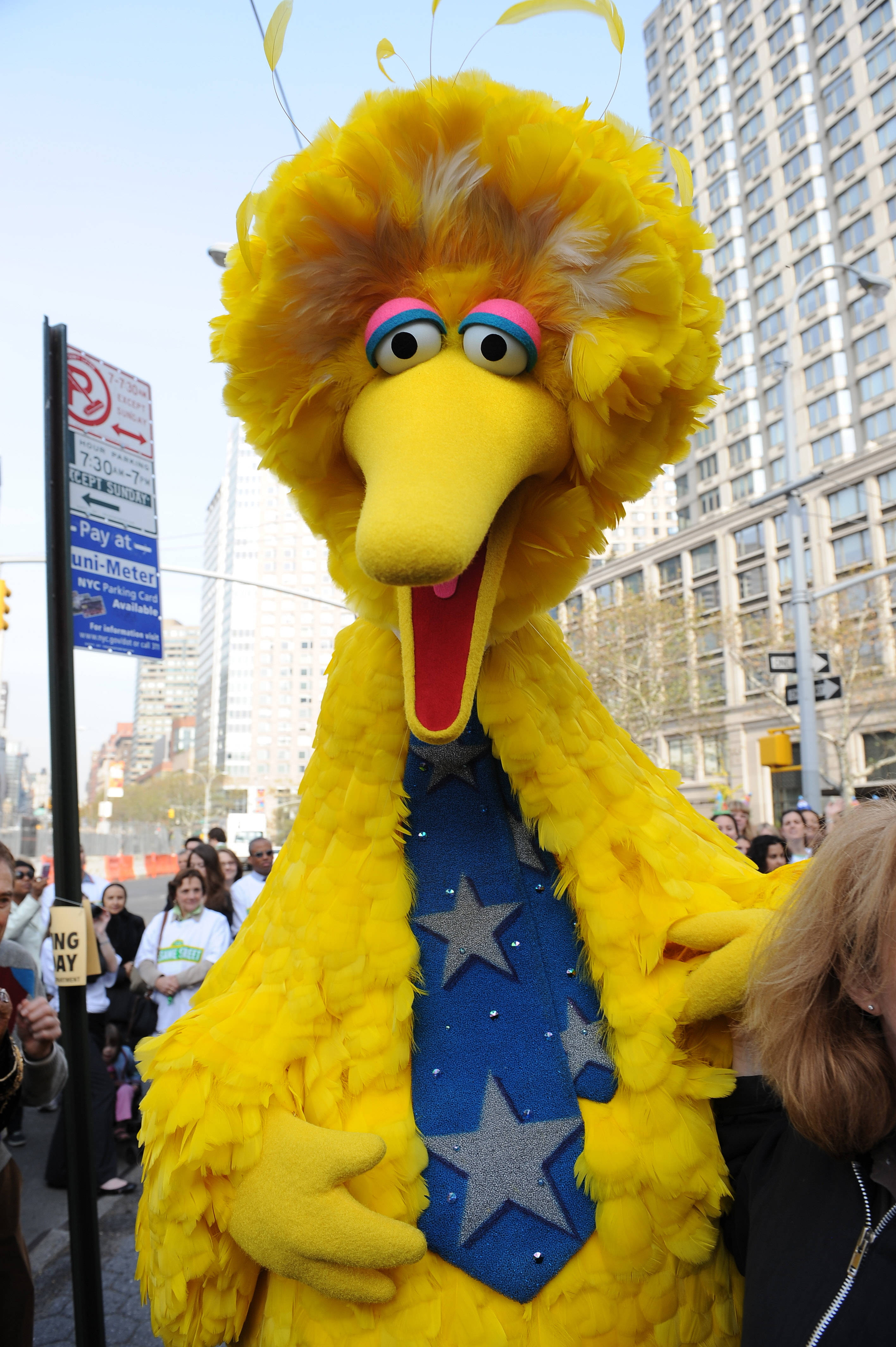 Big Bird, star tie, city street, 4K Phone Wallpaper
