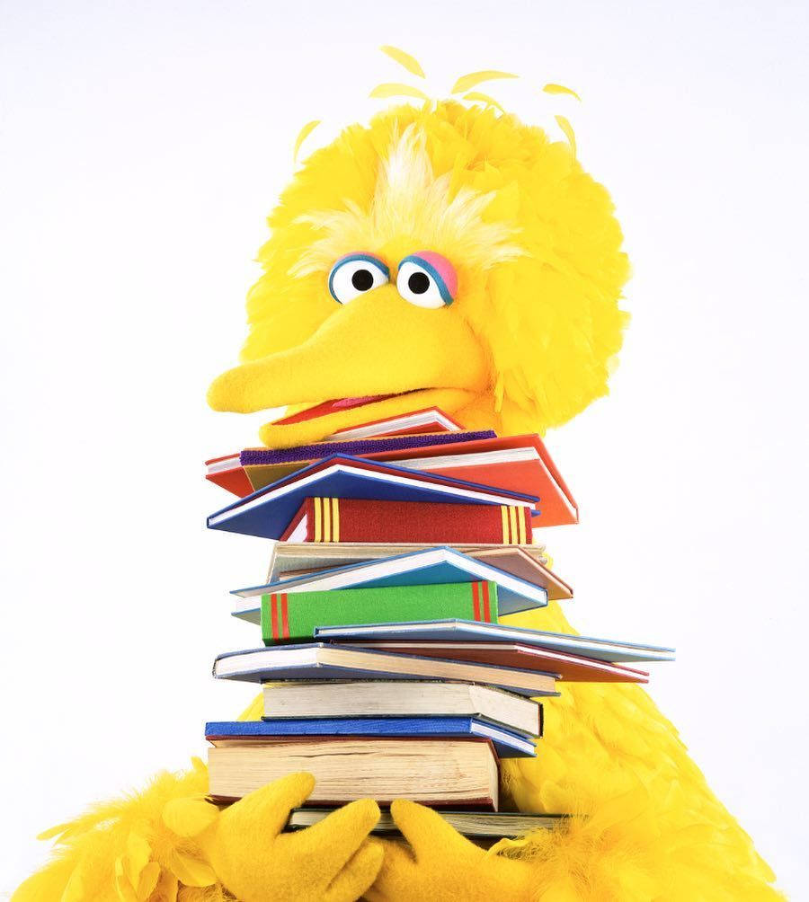 Big Bird, books, colorful, SD Phone Wallpaper