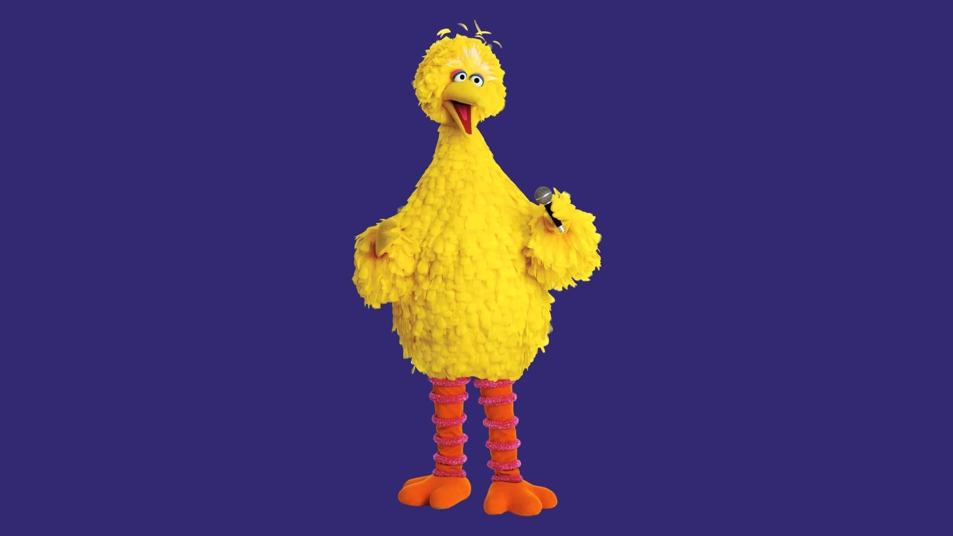 Big Bird, yellow, microphone, Full HD Desktop Wallpaper
