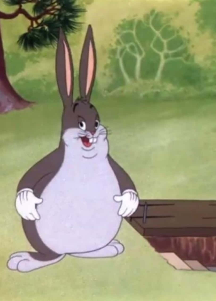 Big Chungus, cartoon rabbit, long ears, HD Phone Wallpaper
