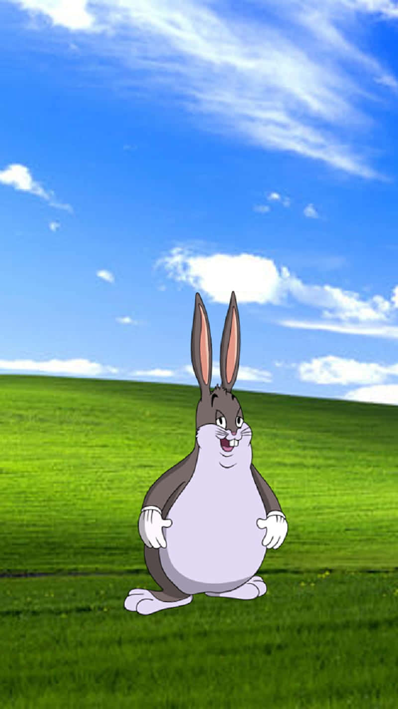 Big Chungus, cartoon rabbit, vibrant green hill, HD Phone Wallpaper