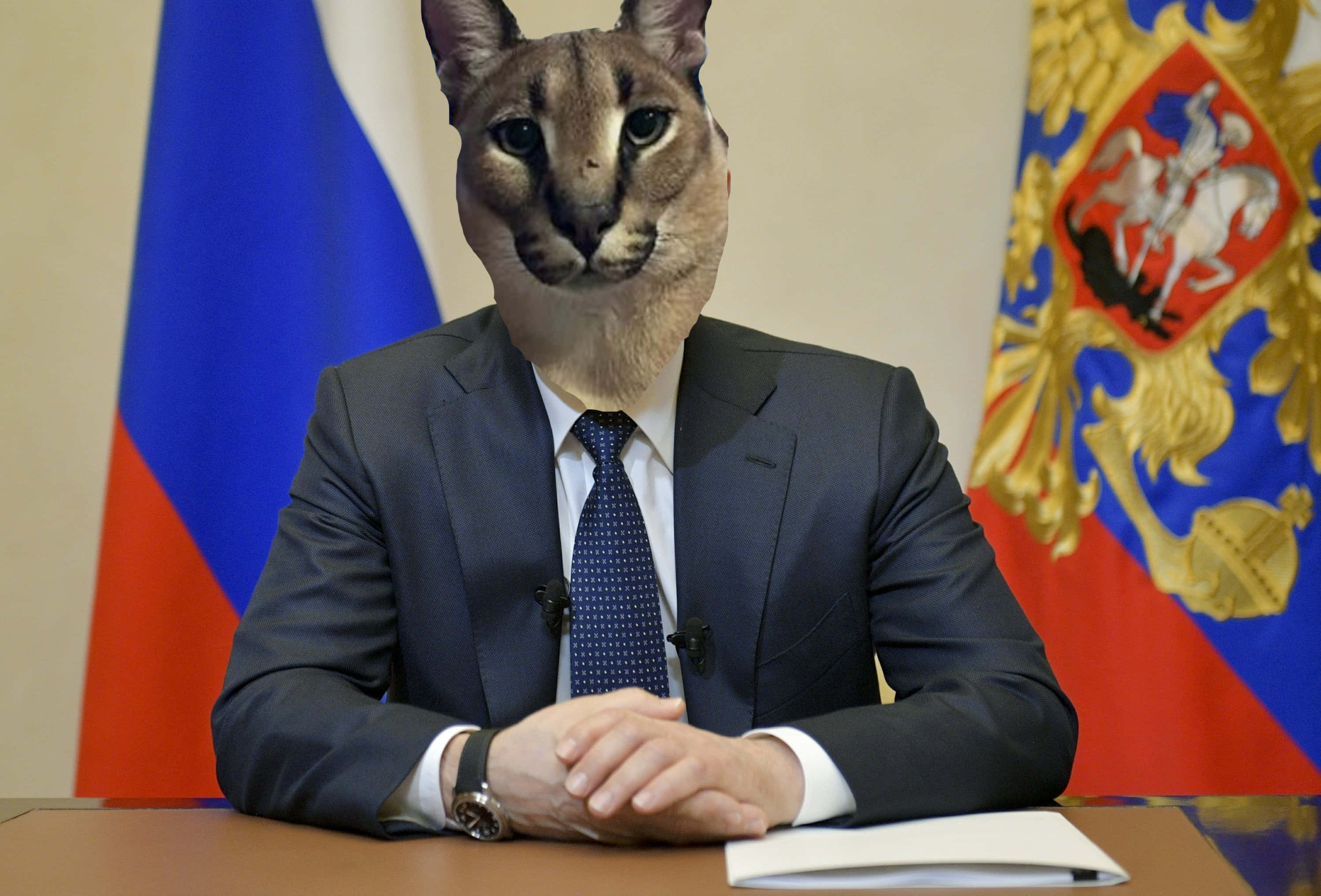 Big Floppa, ocelot head mask, suit, 2K Desktop Wallpaper