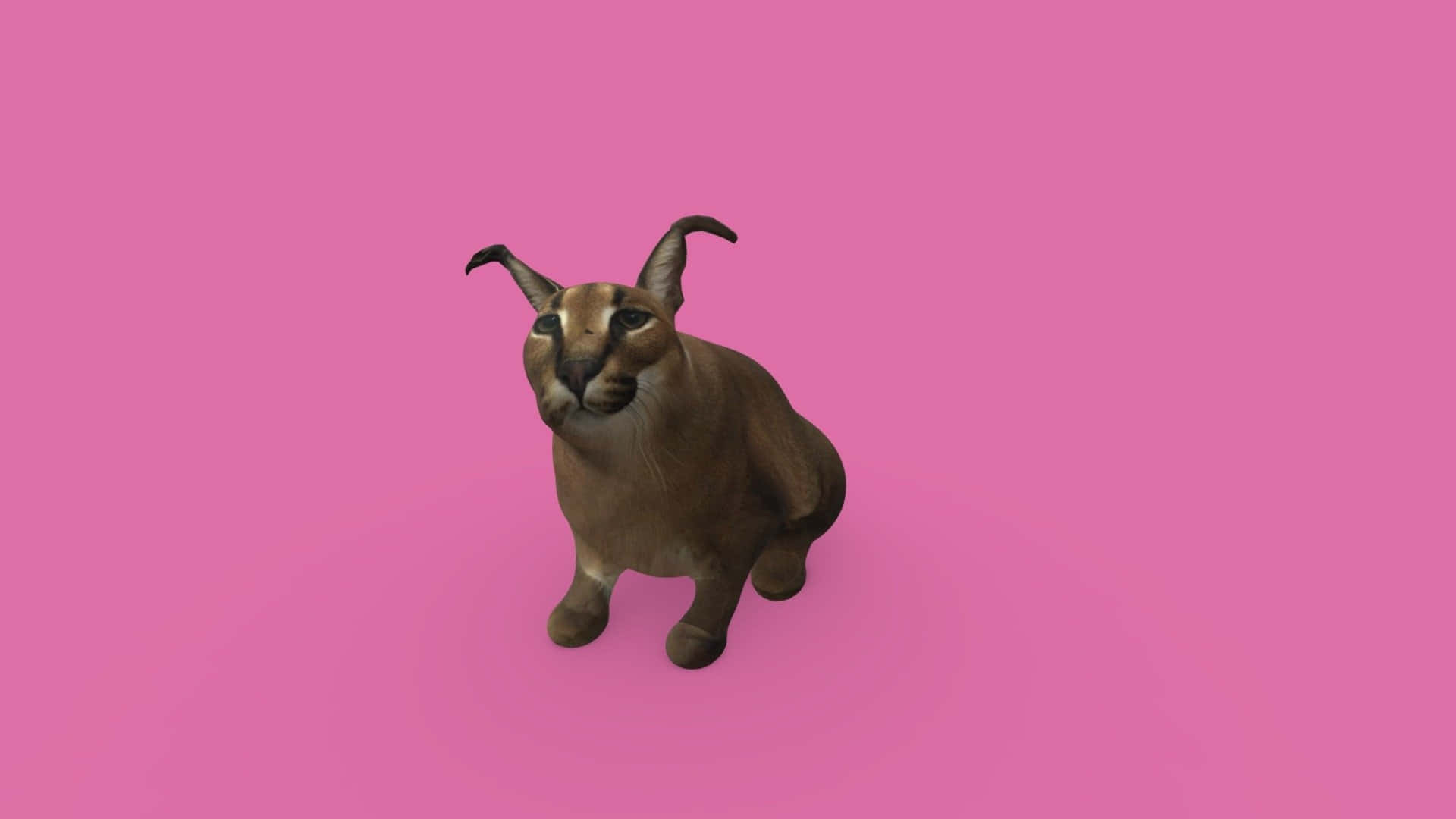 Big Floppa, caracal, tufted ears, Full HD Desktop Wallpaper