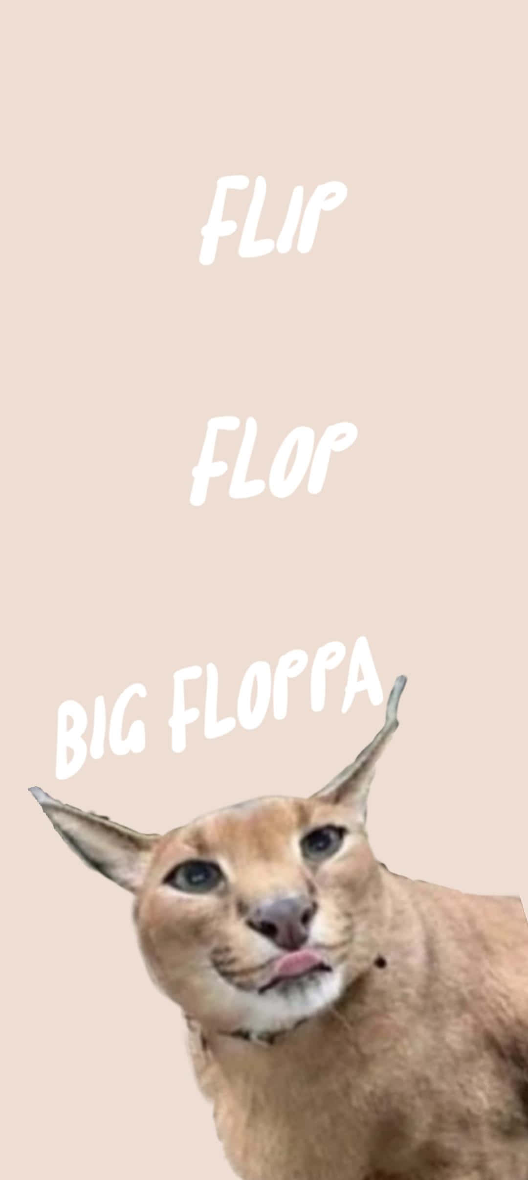 Big Floppa, flip flop, caracal, Full HD Phone Wallpaper