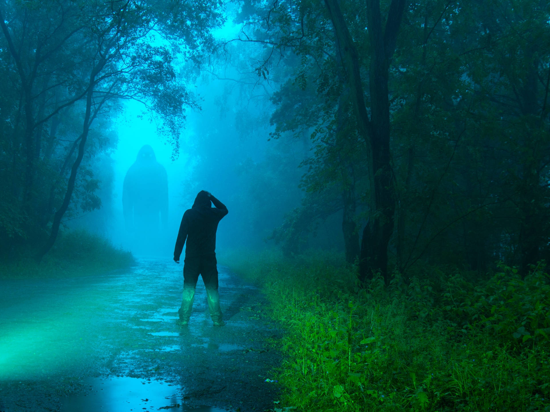 Bigfoot, misty forest path, night, Full HD Desktop Wallpaper