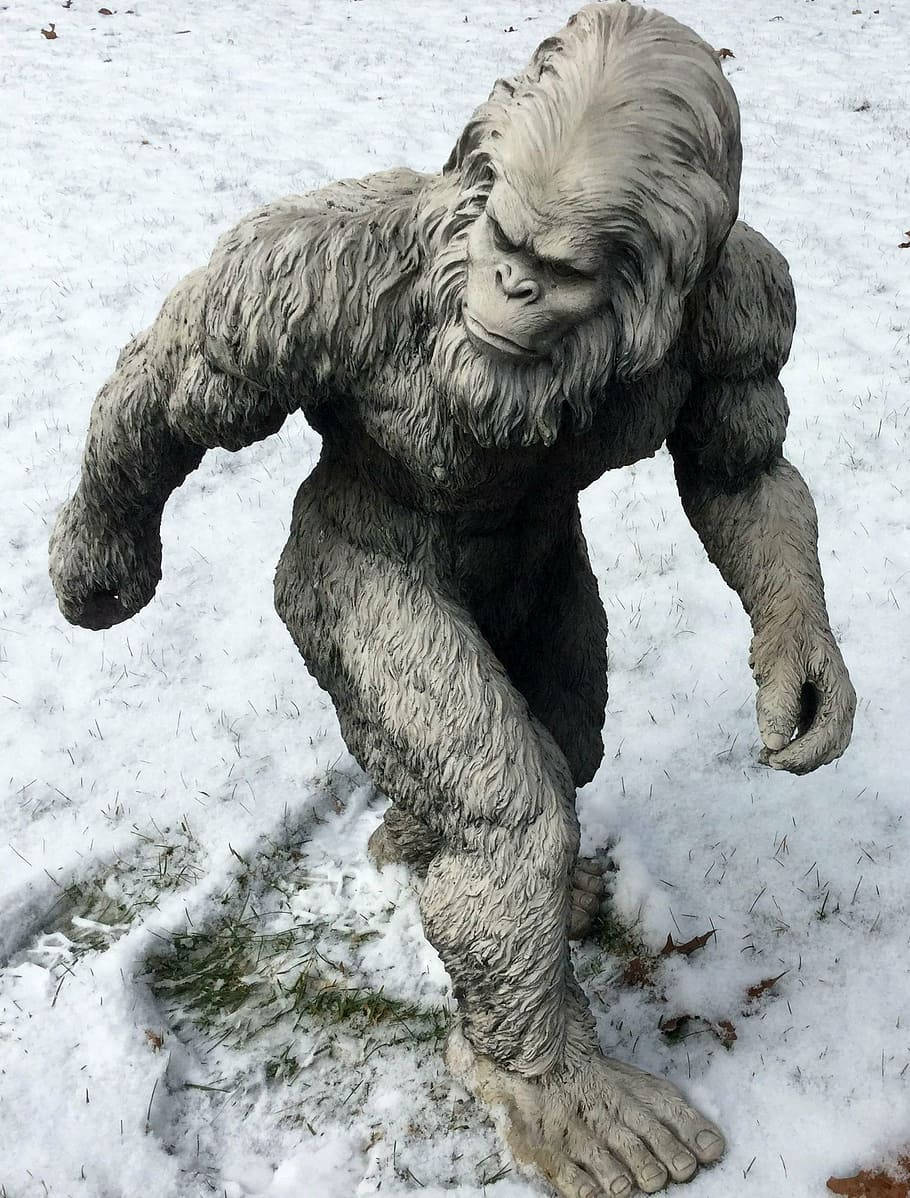 Bigfoot, snow, snowy landscape, SD Phone Wallpaper