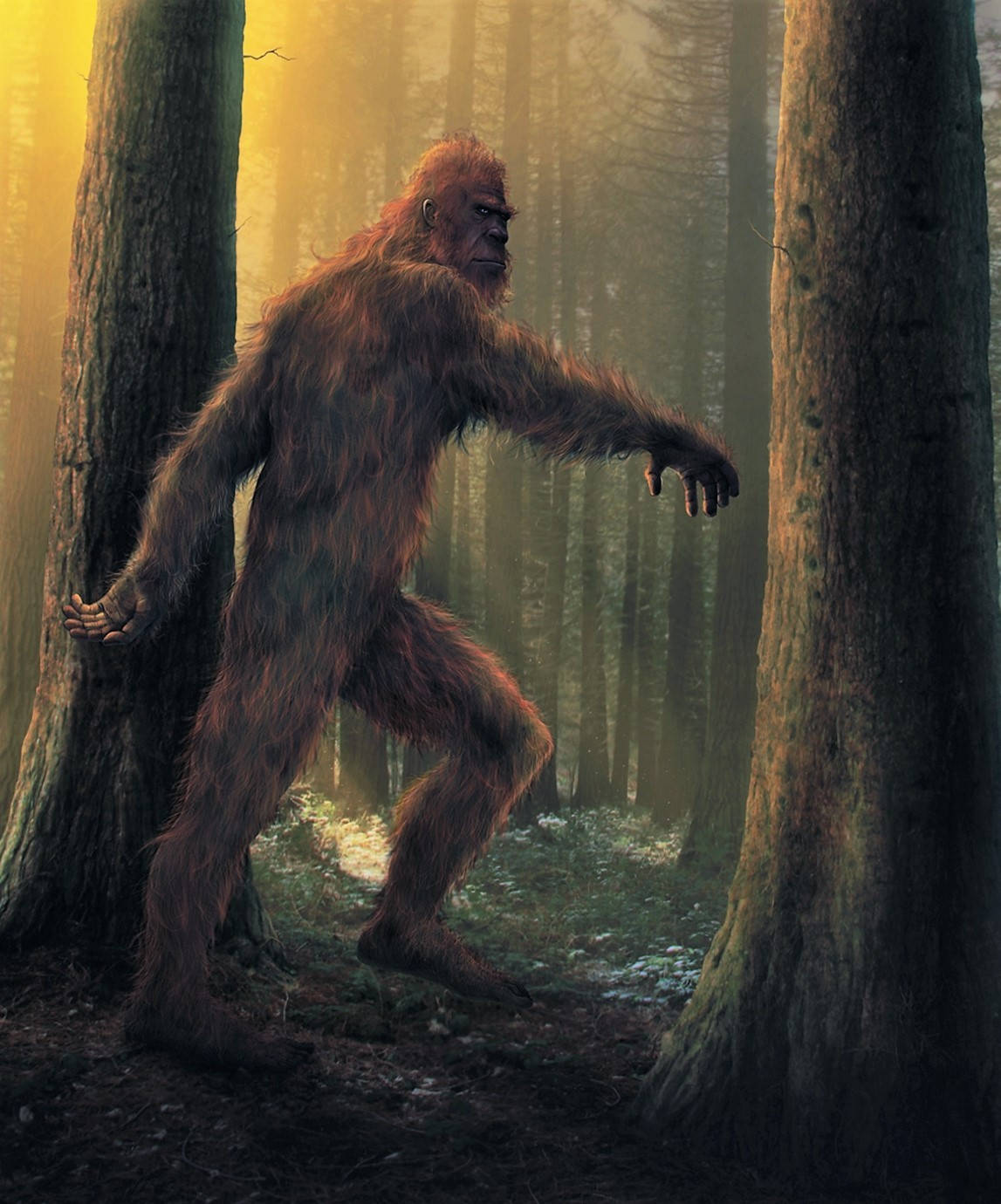 Bigfoot, misty forest, golden sunlight, HD Phone Wallpaper
